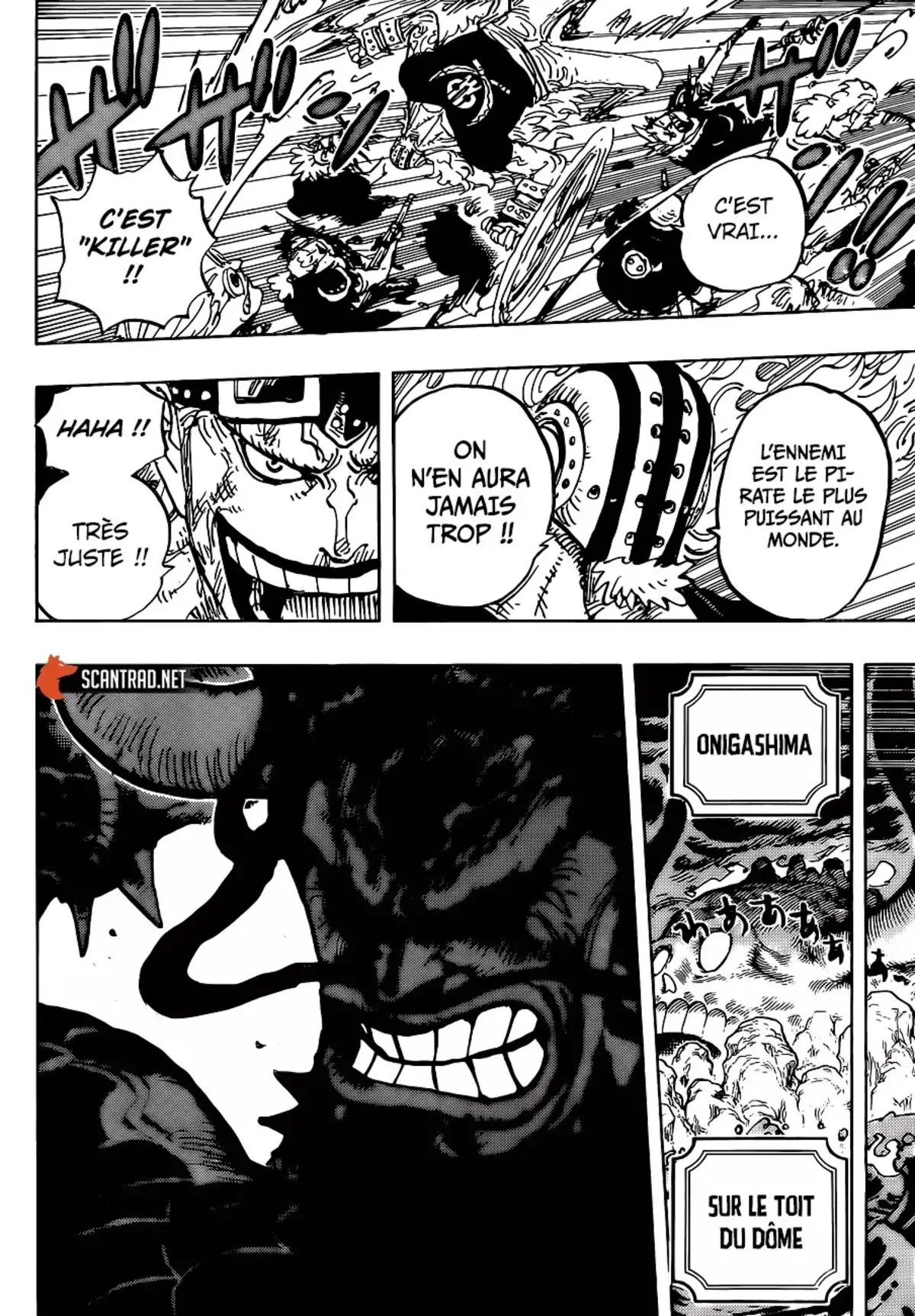 One Piece Chapitre 996 page 14