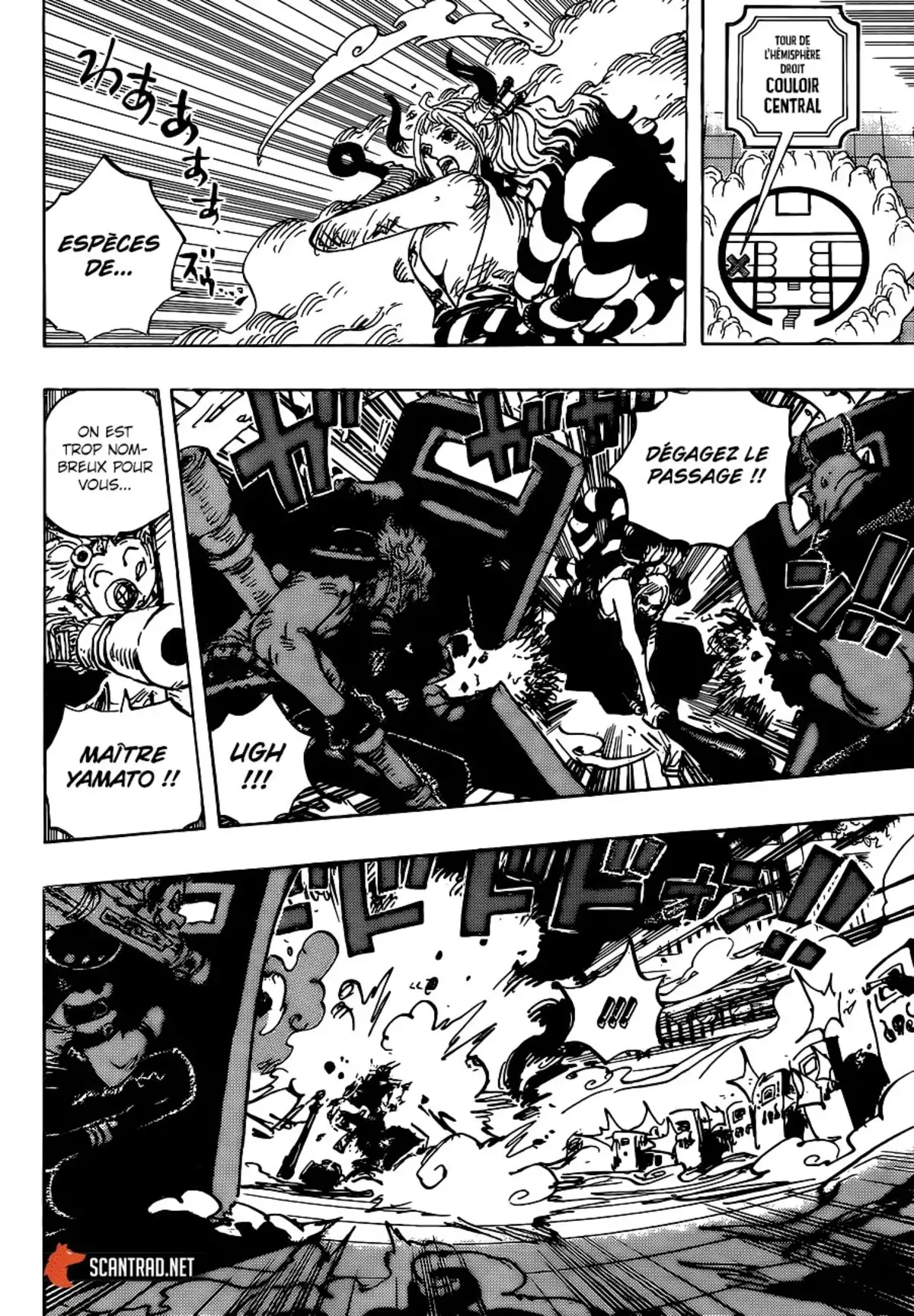 One Piece Chapitre 996 page 4