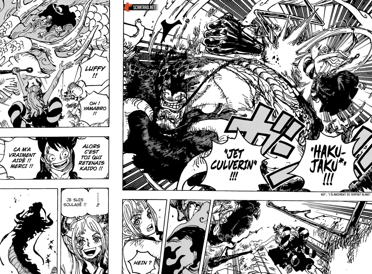 One Piece Chapitre 1025 page 14