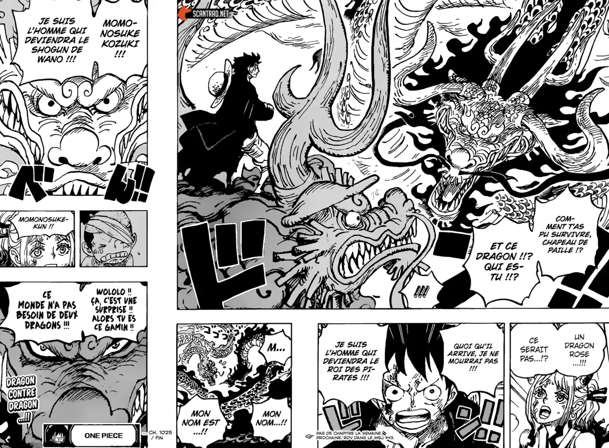 One Piece Chapitre 1025 page 15