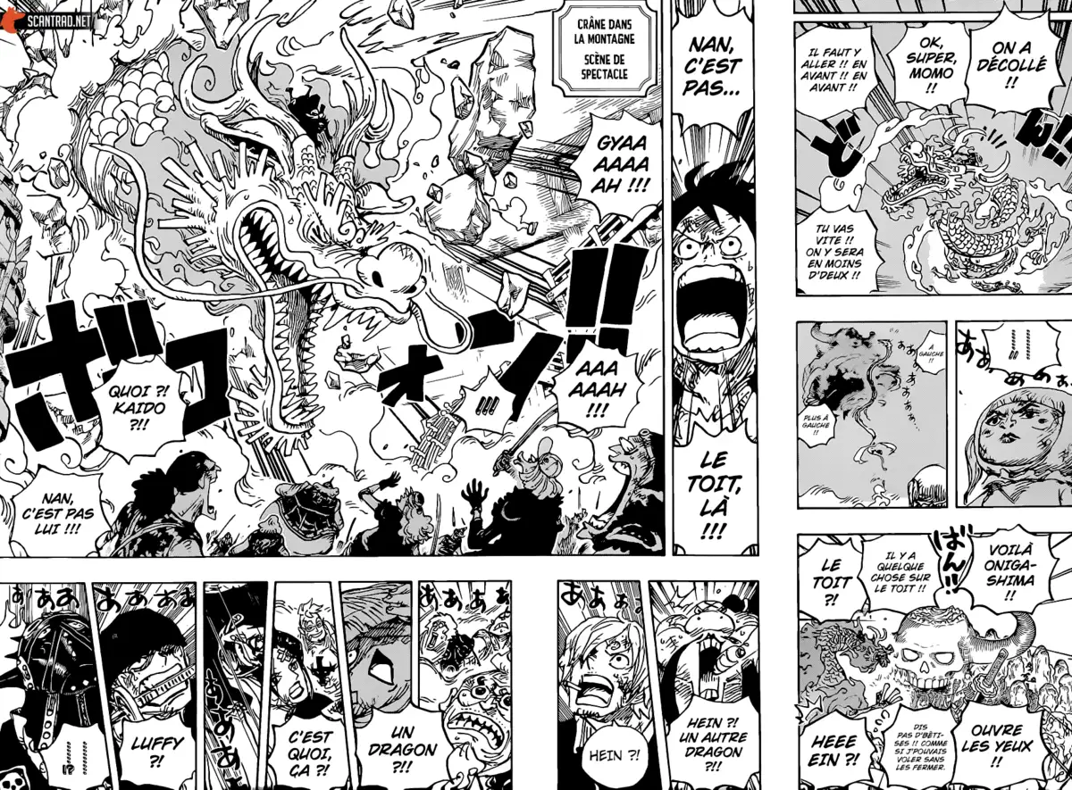 One Piece Chapitre 1025 page 9