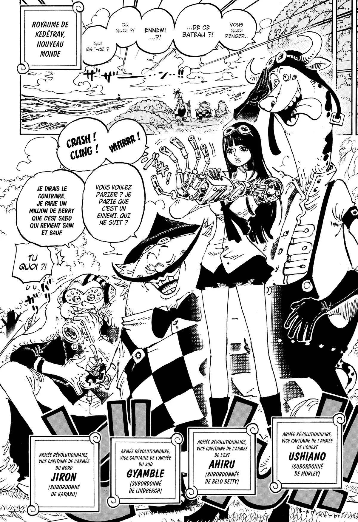 One Piece Chapitre 1082 page 12