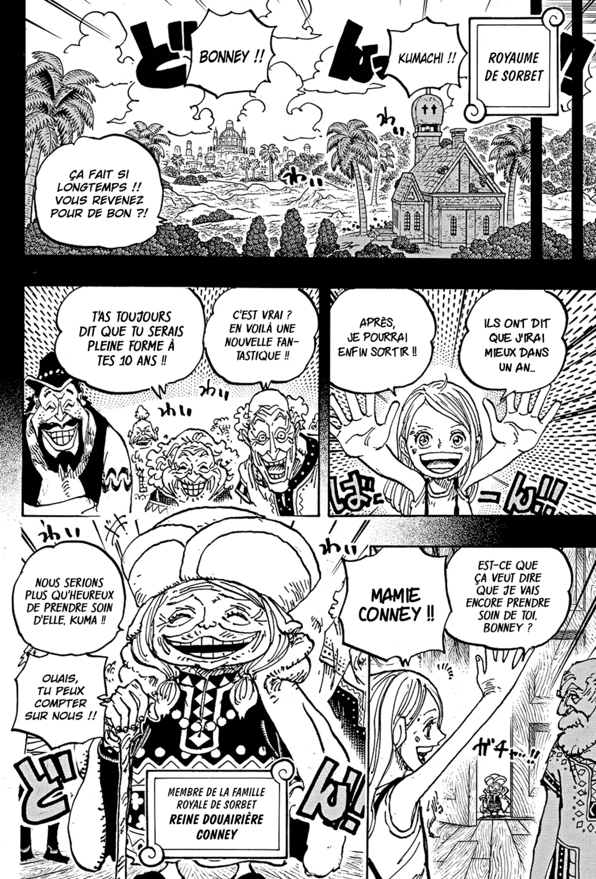 One Piece Chapitre 1100 page 12