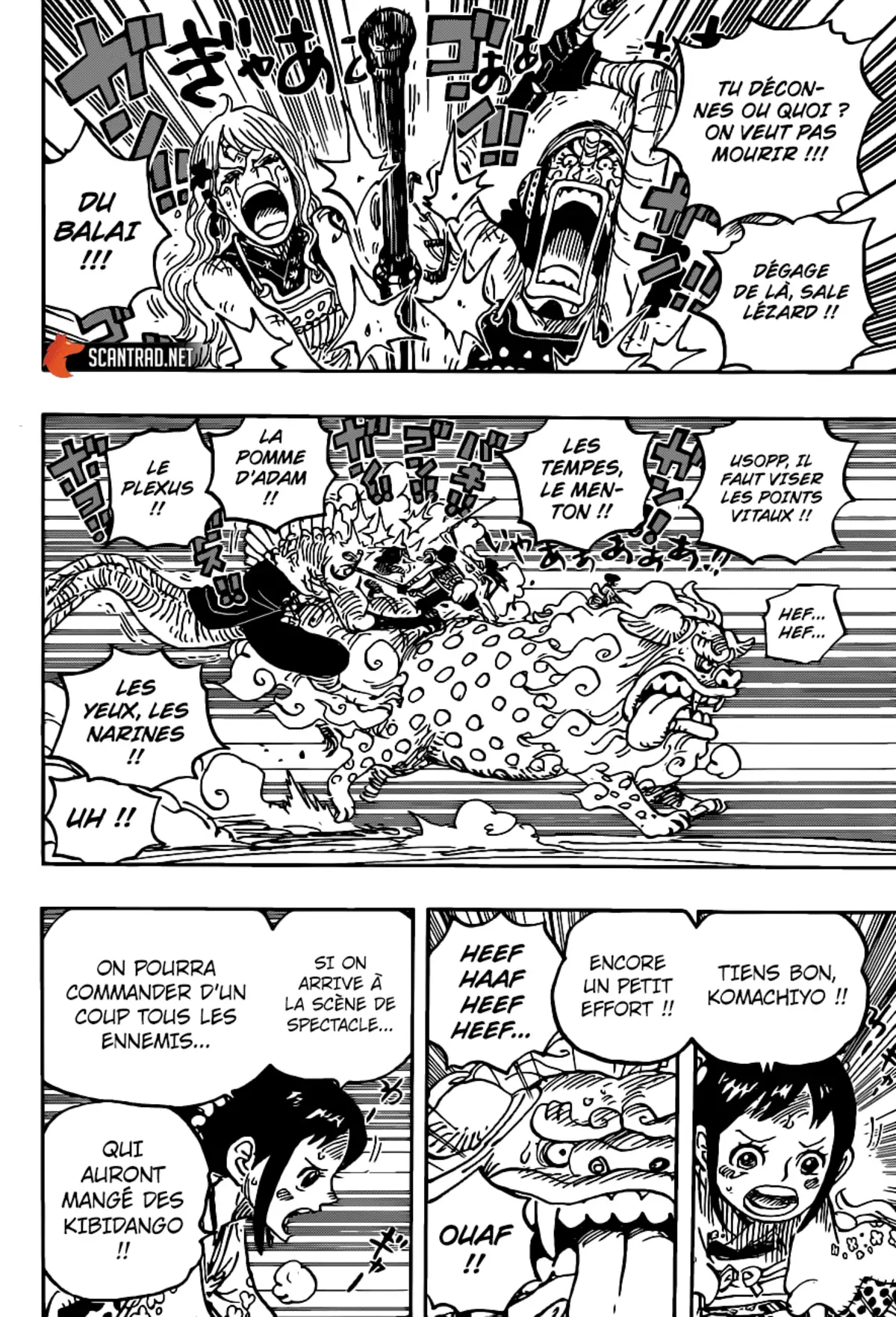 One Piece Chapitre 1011 page 13