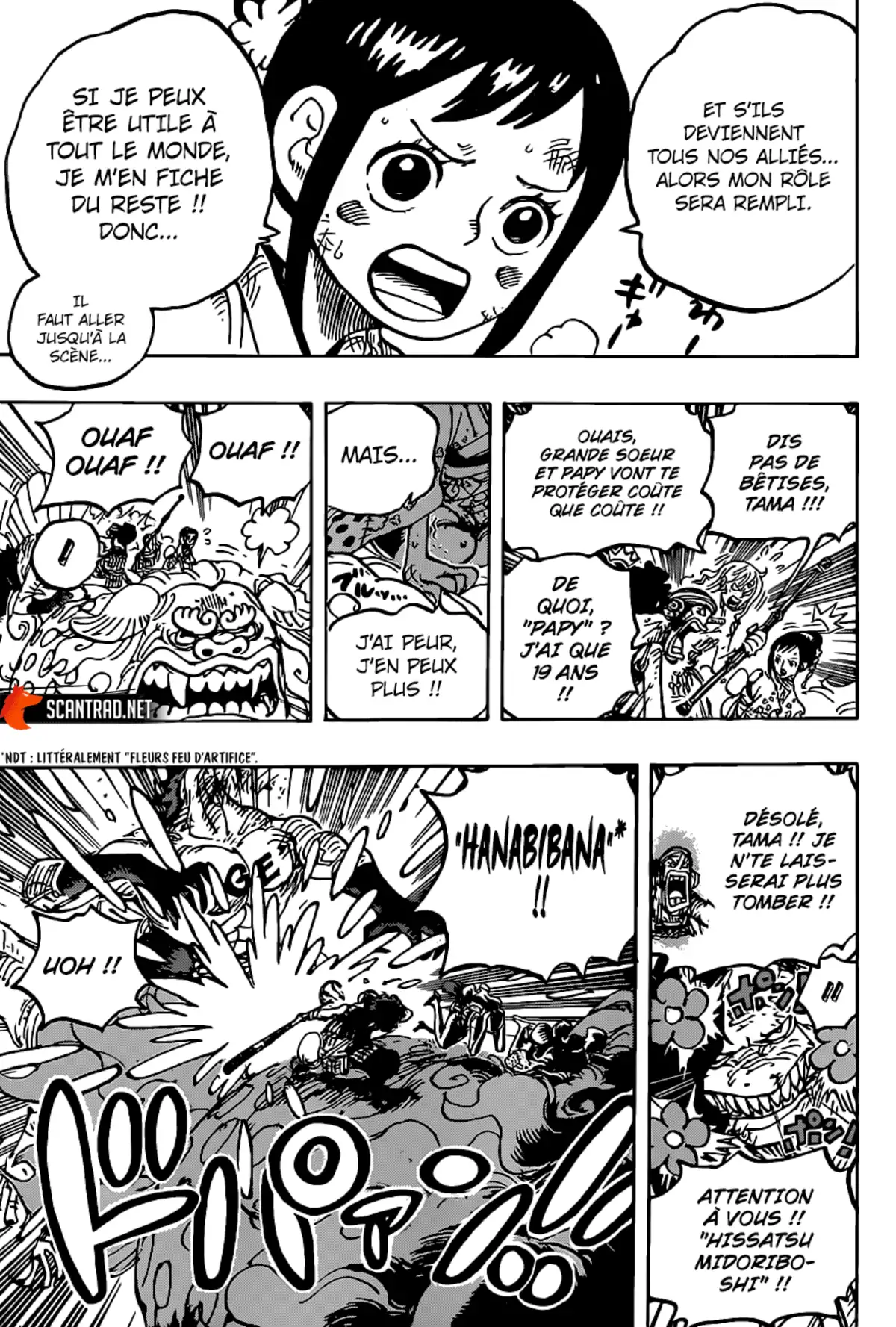 One Piece Chapitre 1011 page 14