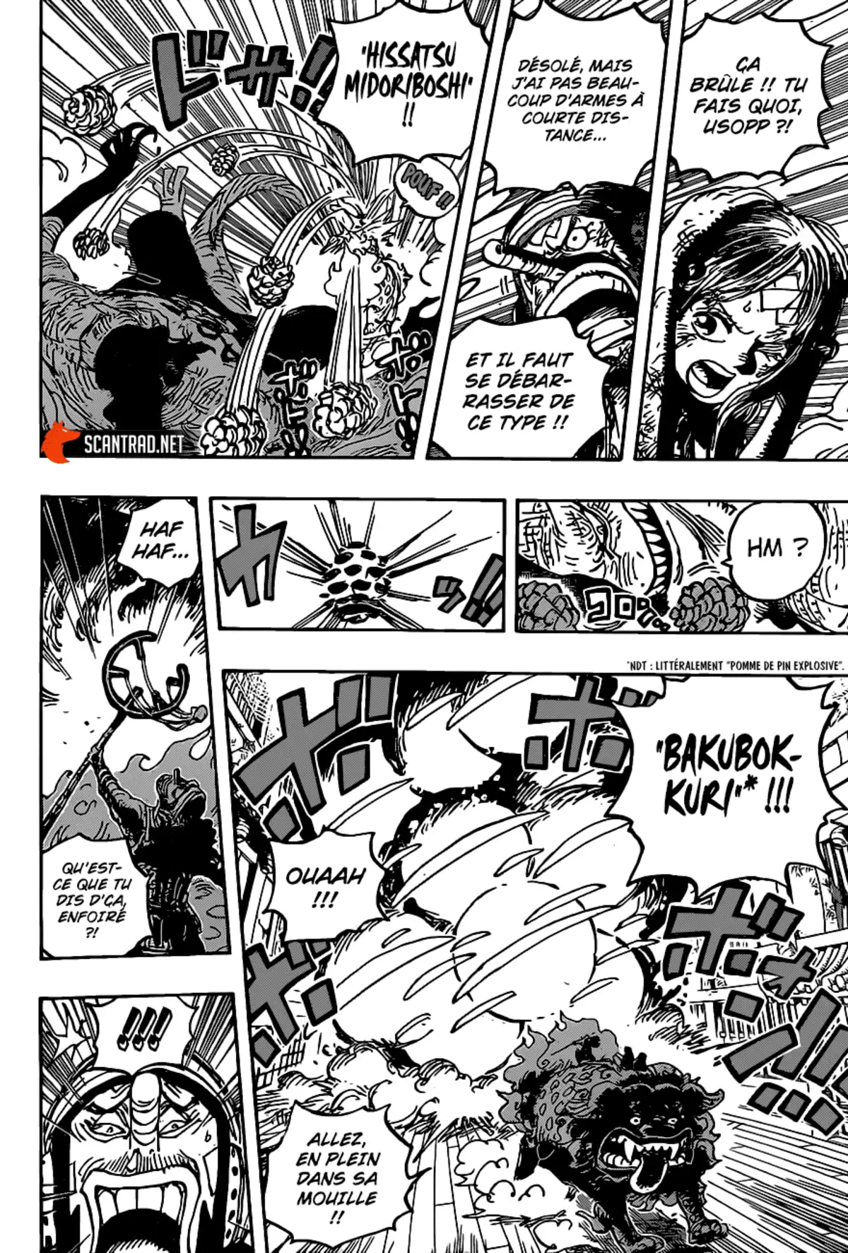 One Piece Chapitre 1011 page 15