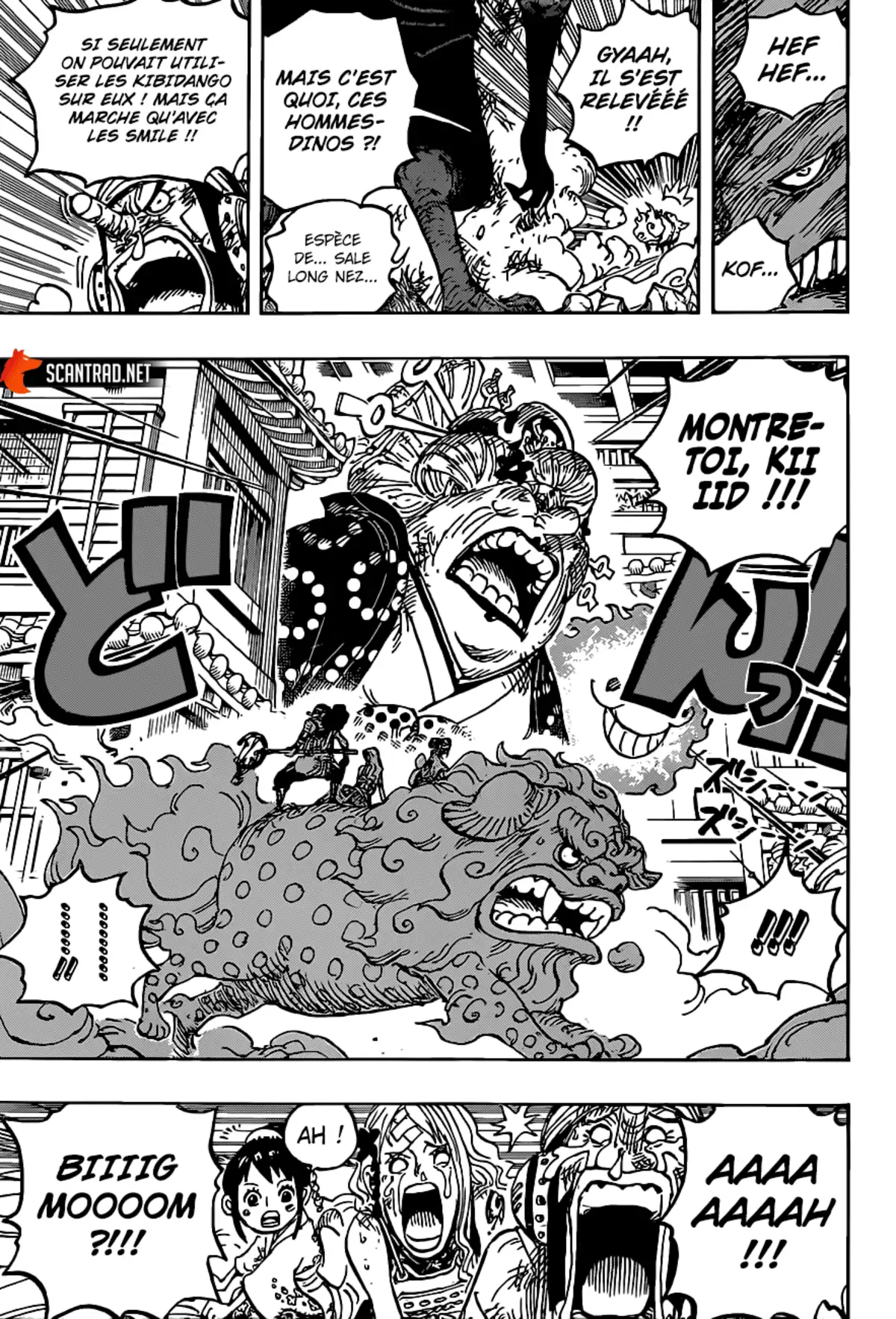 One Piece Chapitre 1011 page 16