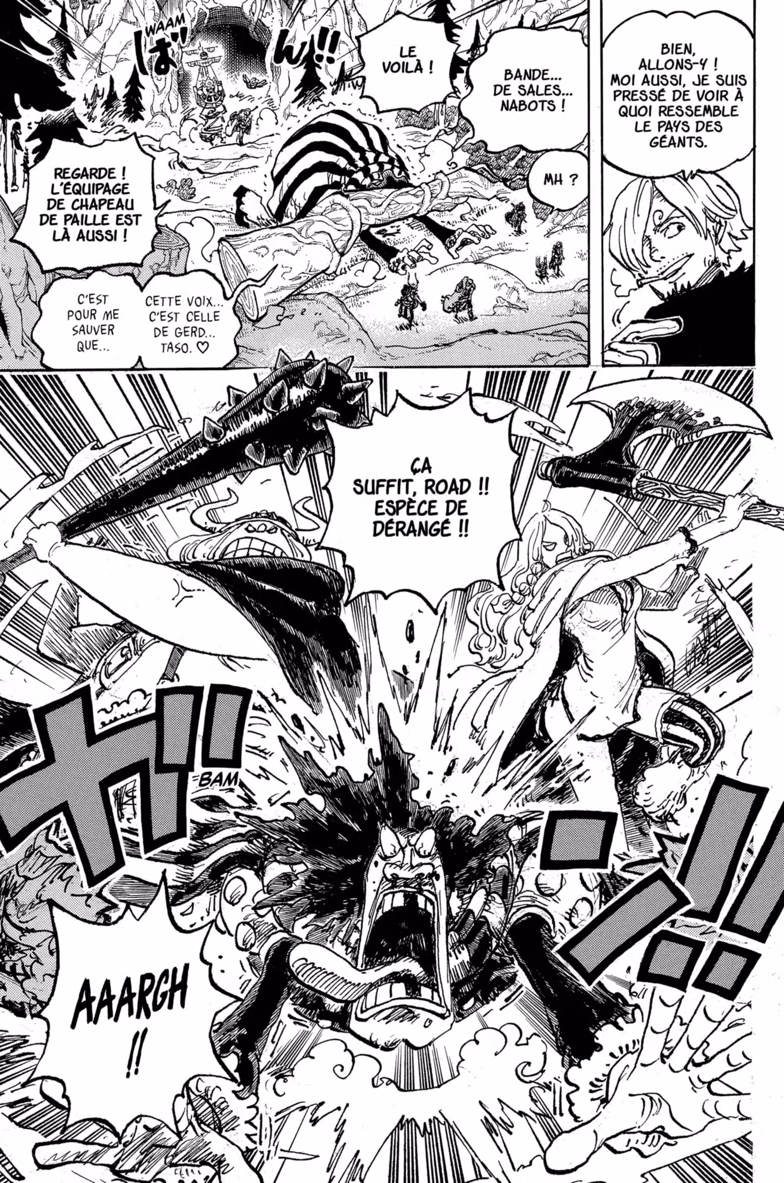 One Piece Chapitre 1132 page 10