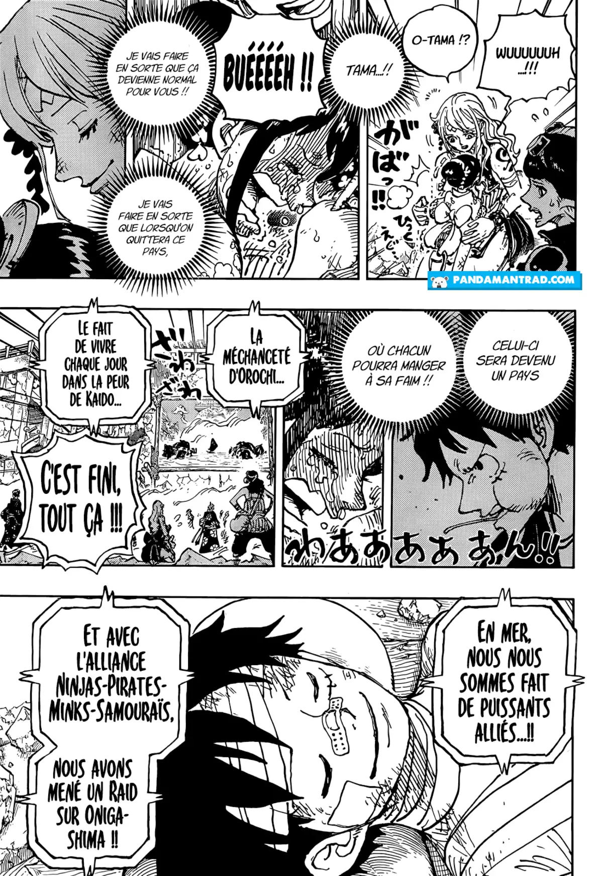 One Piece Chapitre 1051 page 11