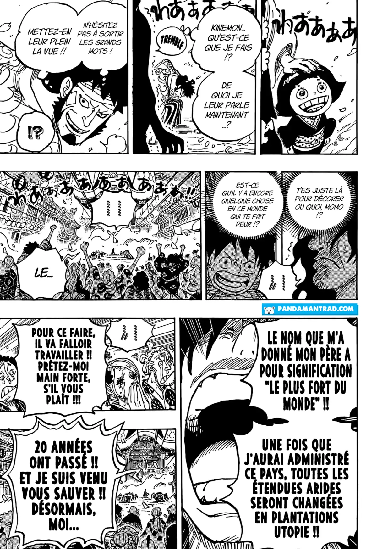 One Piece Chapitre 1051 page 13