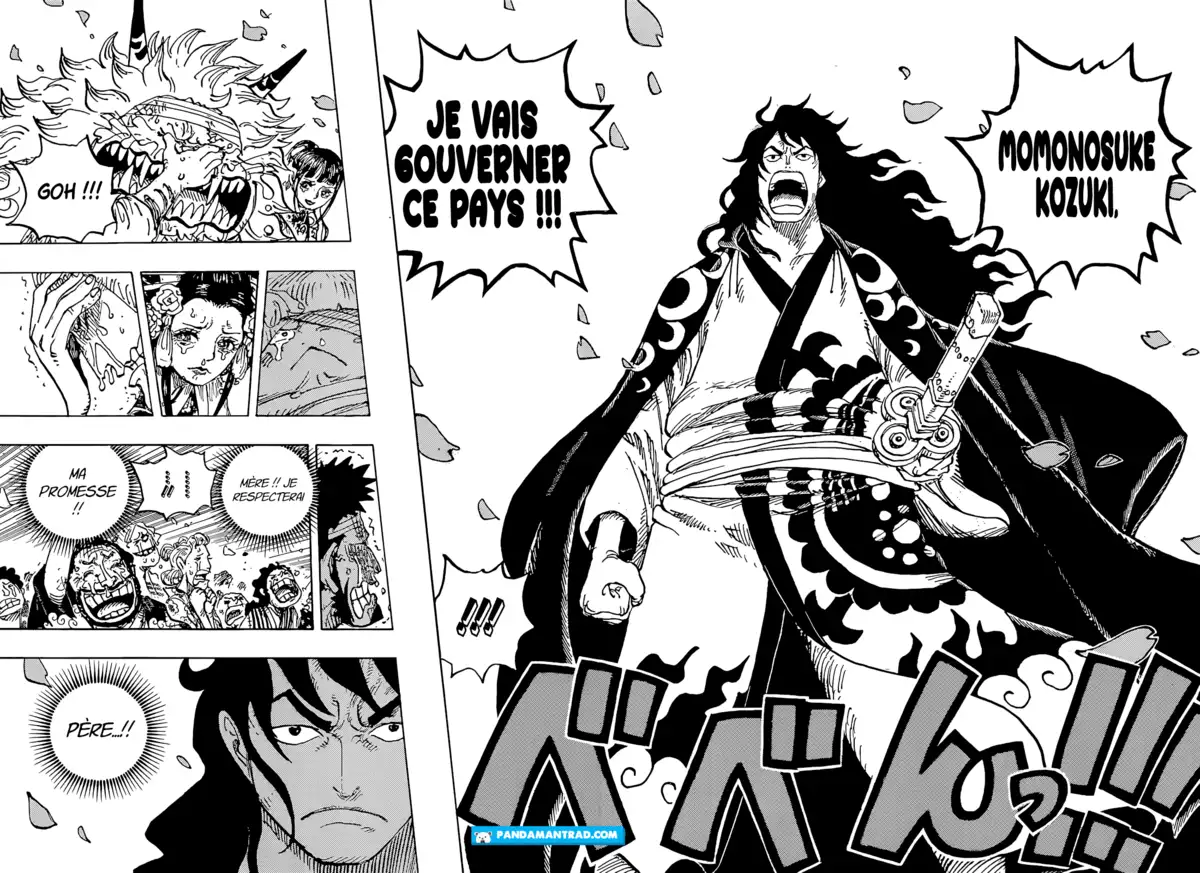 One Piece Chapitre 1051 page 14