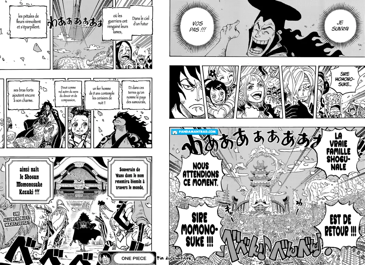 One Piece Chapitre 1051 page 15