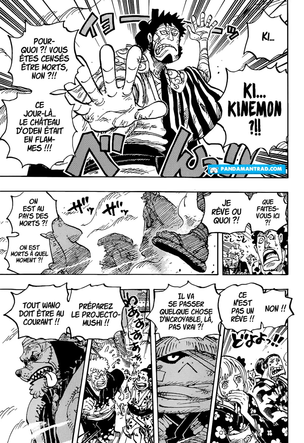 One Piece Chapitre 1051 page 3