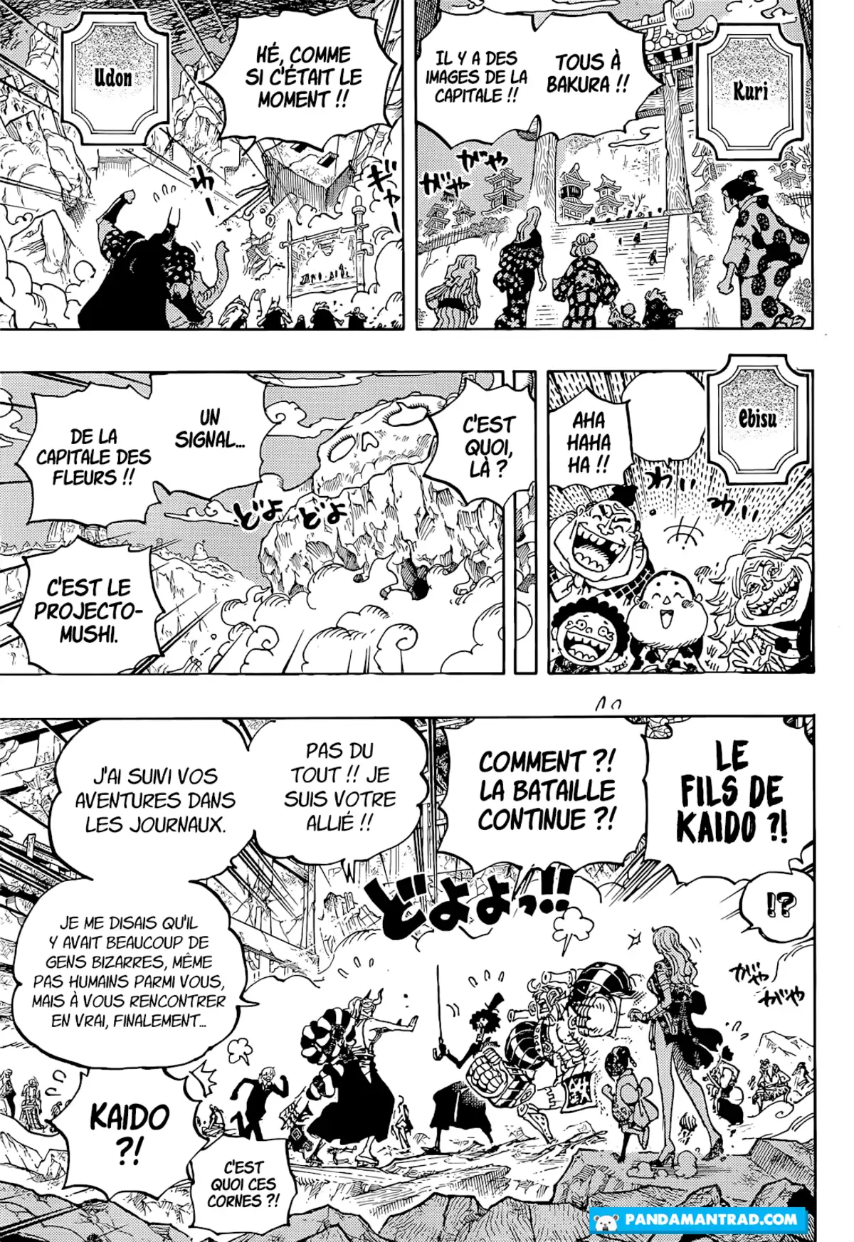 One Piece Chapitre 1051 page 5