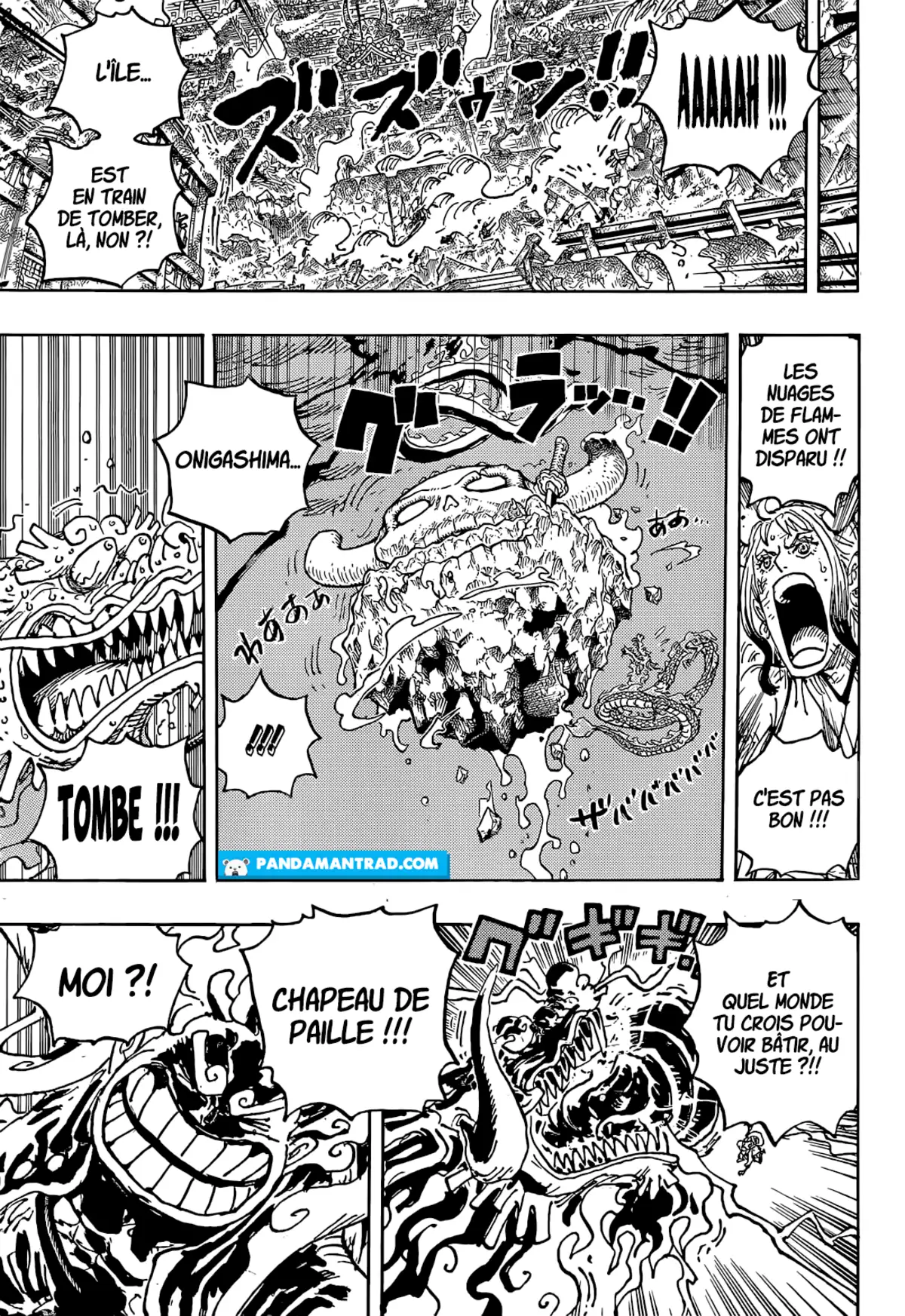 One Piece Chapitre 1049 page 10