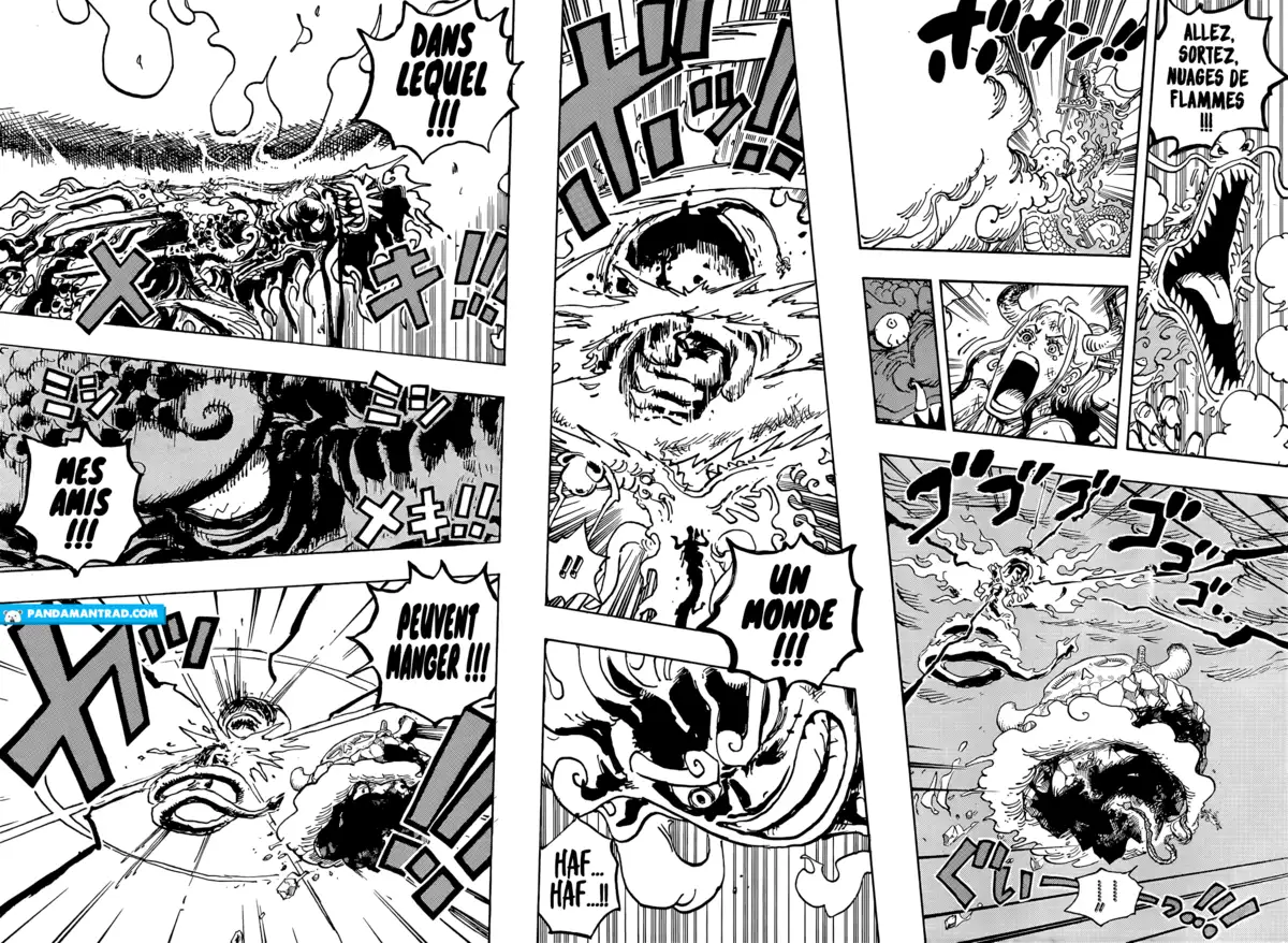 One Piece Chapitre 1049 page 11