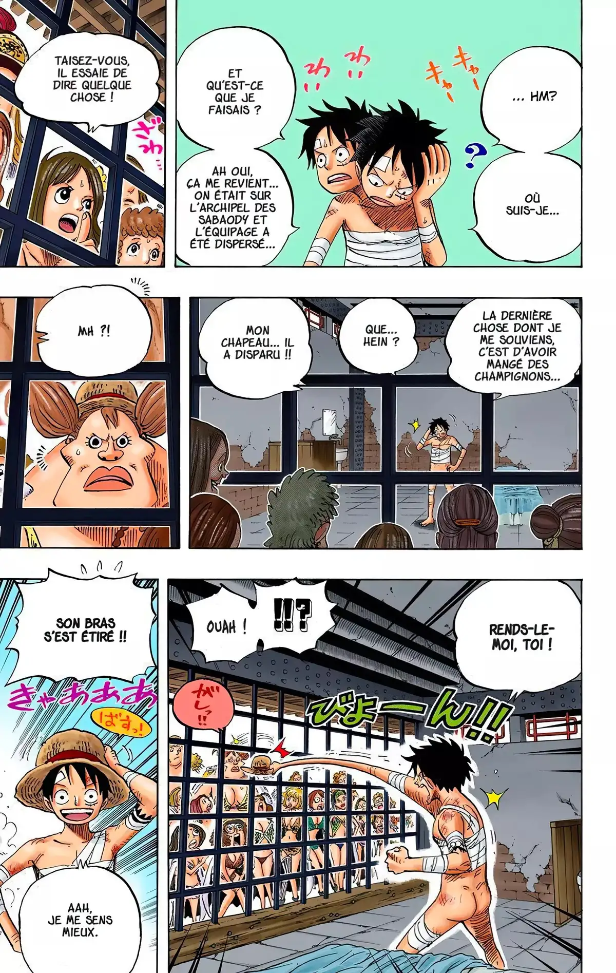 One Piece Volume 53 page 43