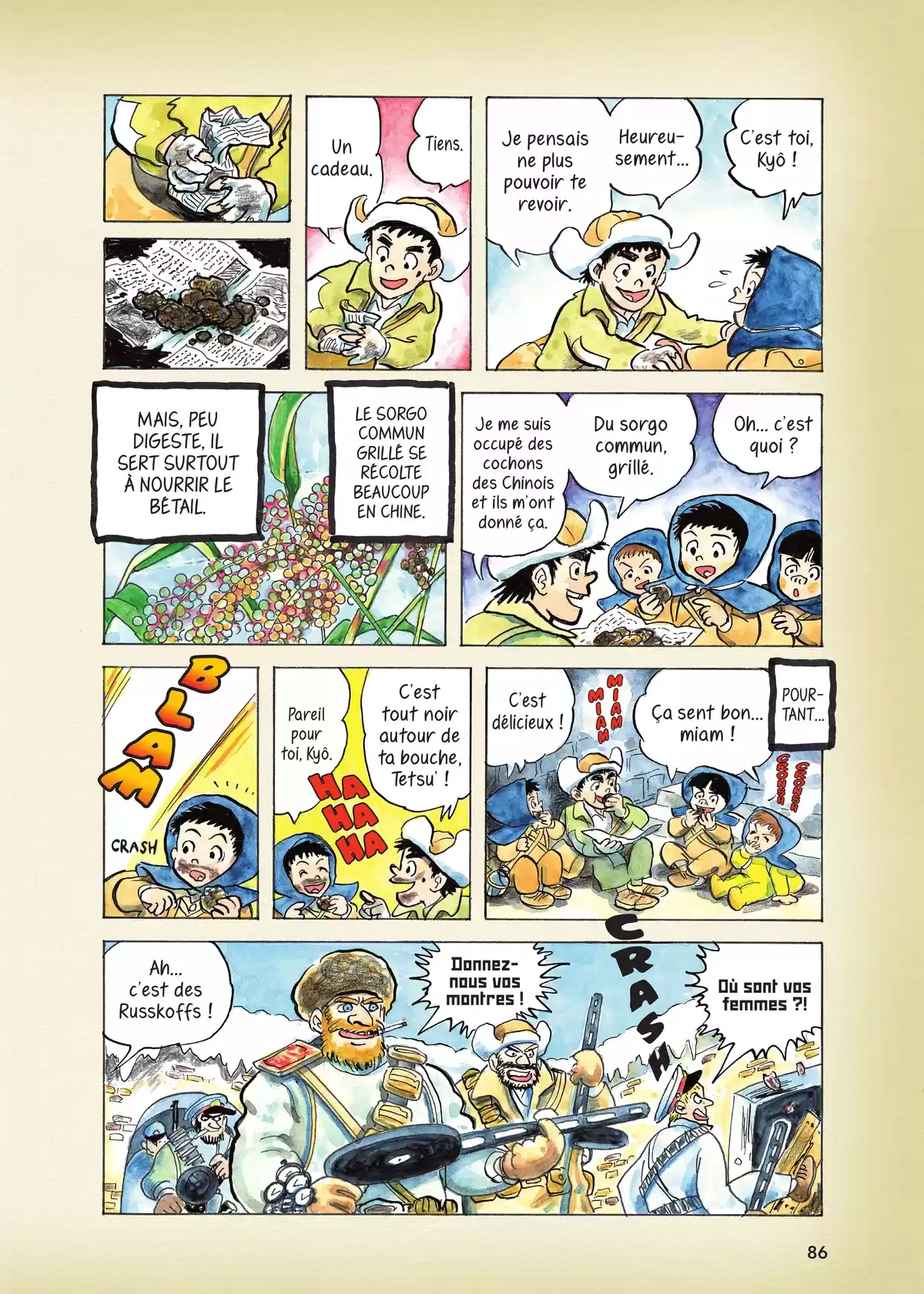 Journal d’une vie tranquille Volume 1 page 85