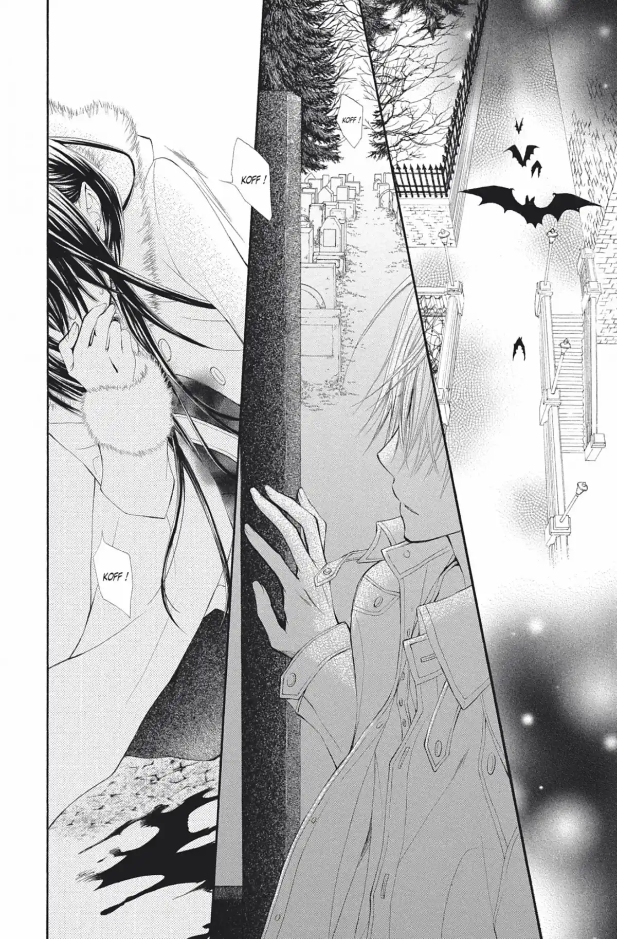 Vampire Knight Volume 13 page 45