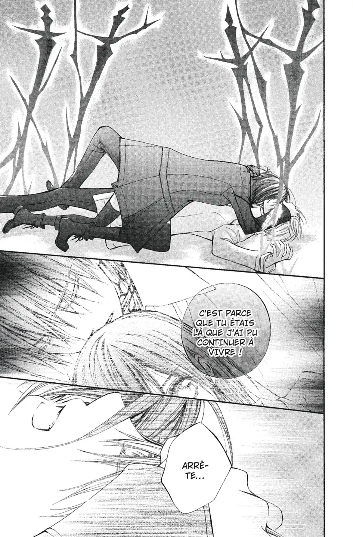 Vampire Knight Volume 19 page 6