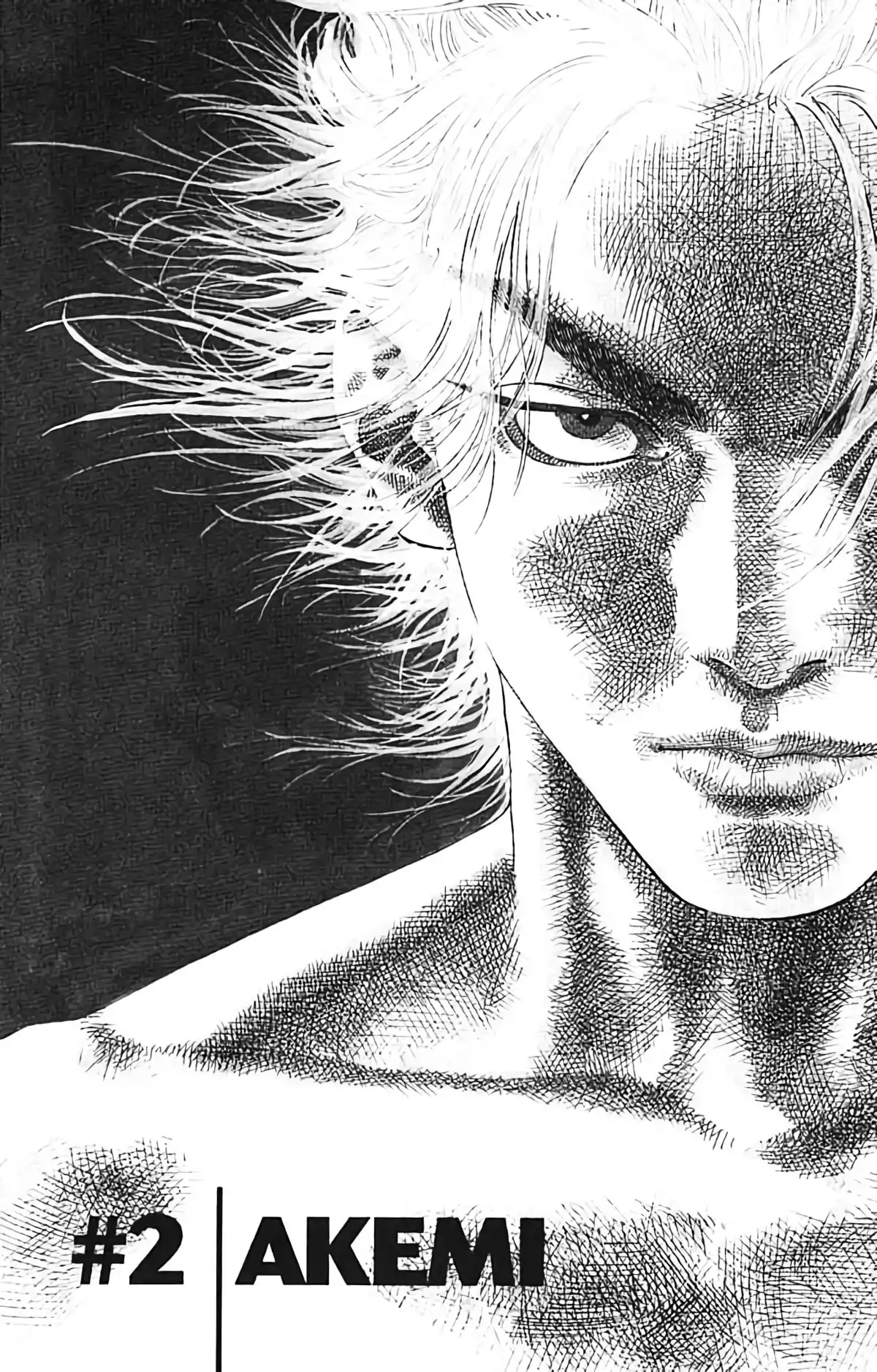 Vagabond Volume 1 page 46