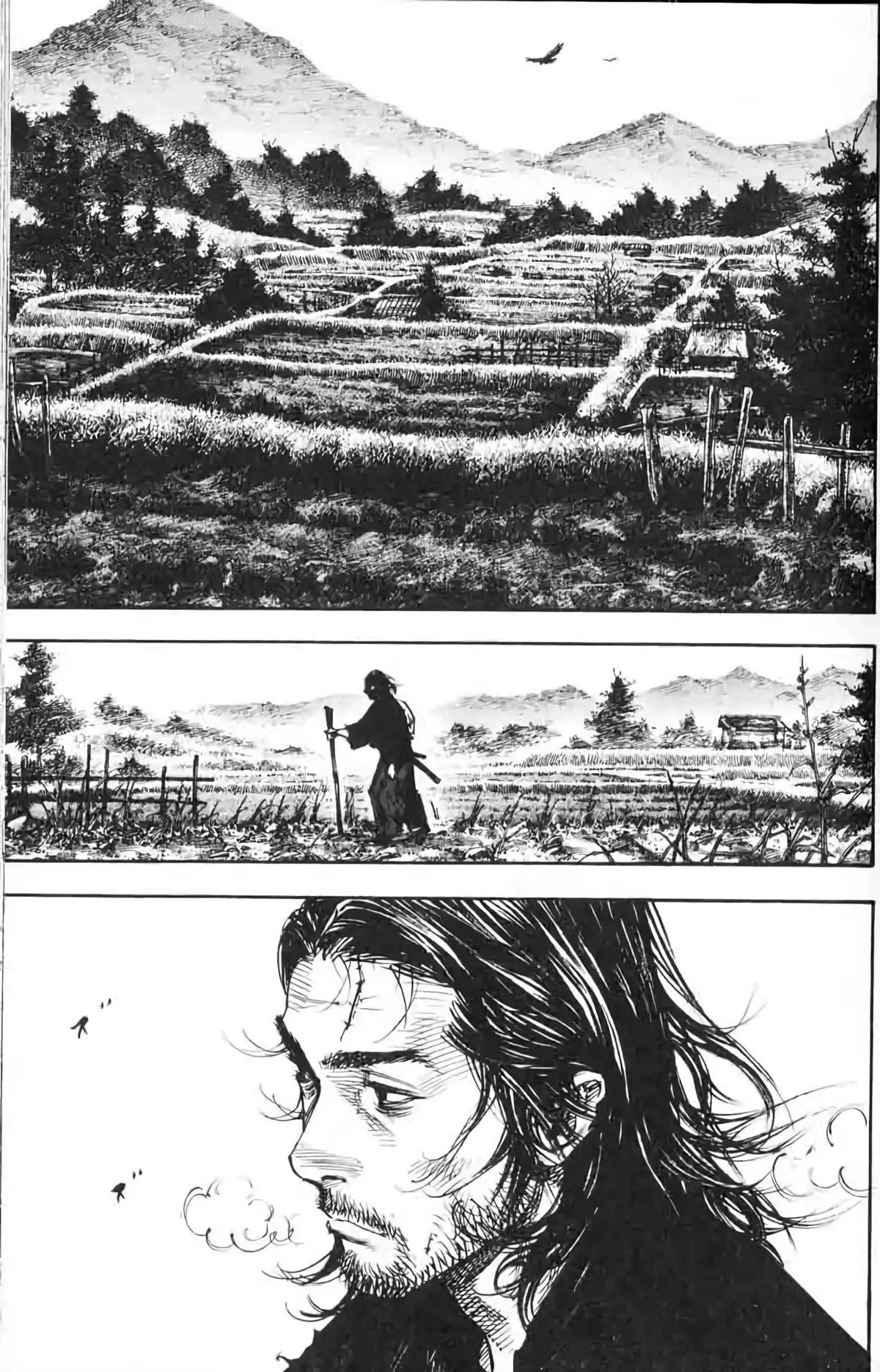 Vagabond Volume 31 page 38