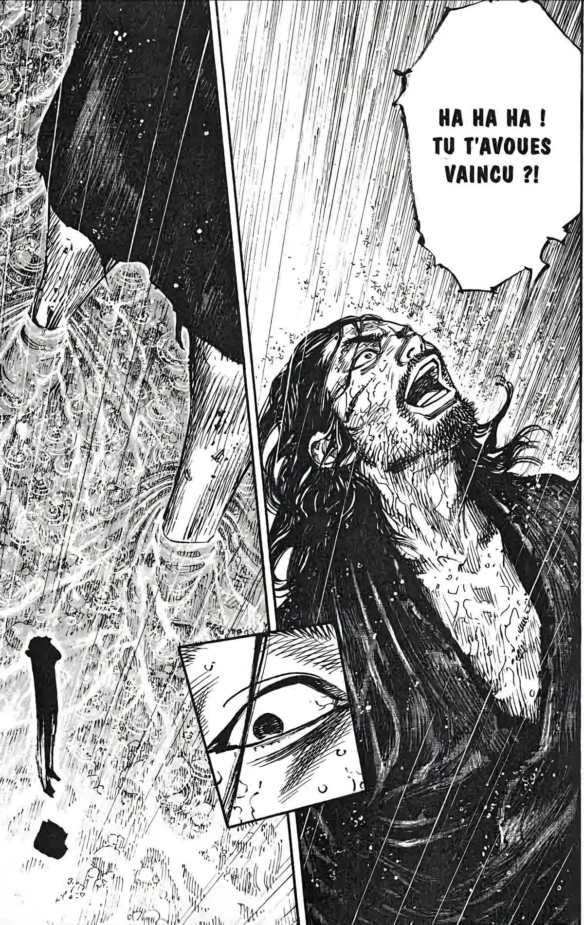 Vagabond Volume 35 page 17