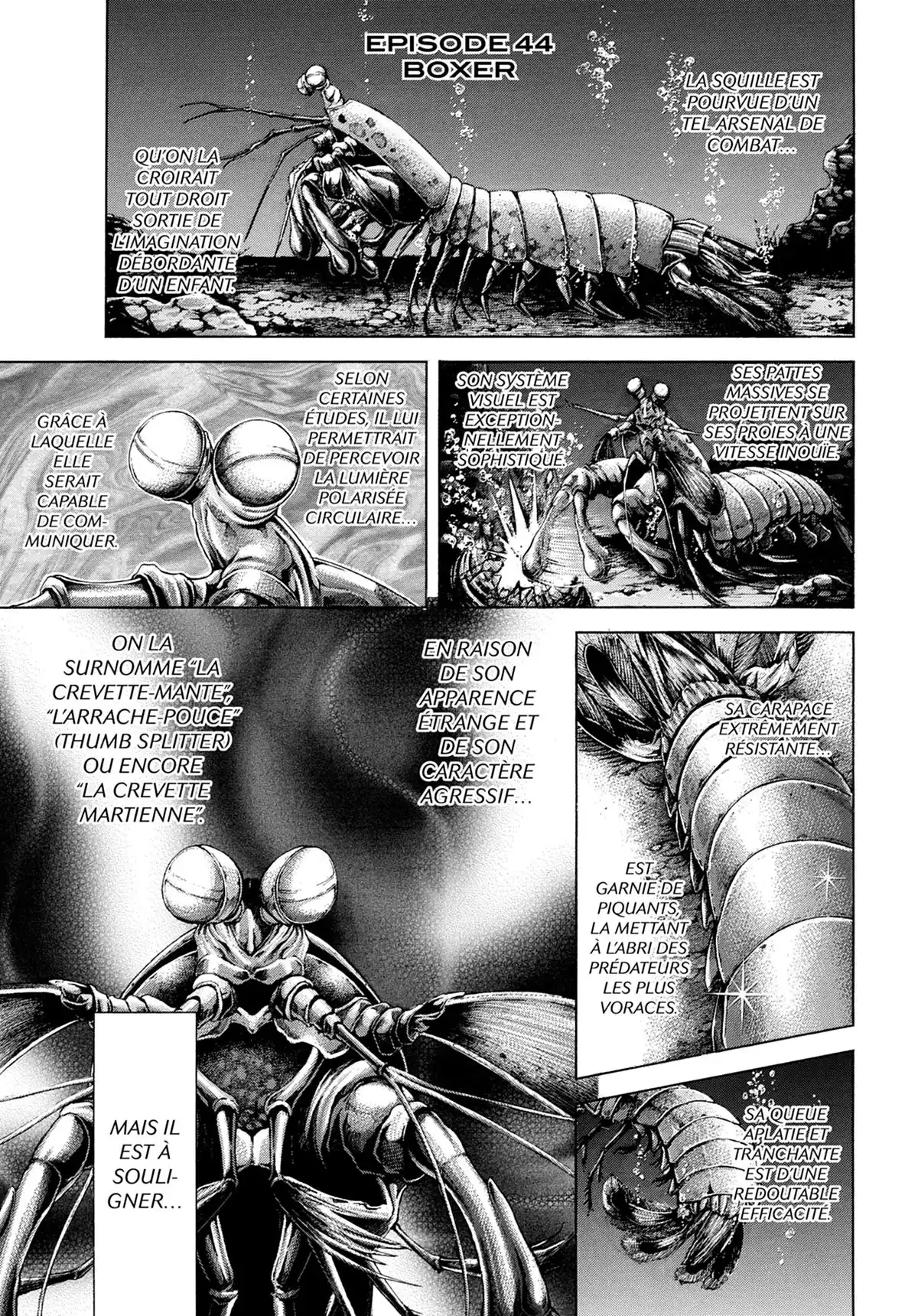Terra Formars Volume 6 page 40