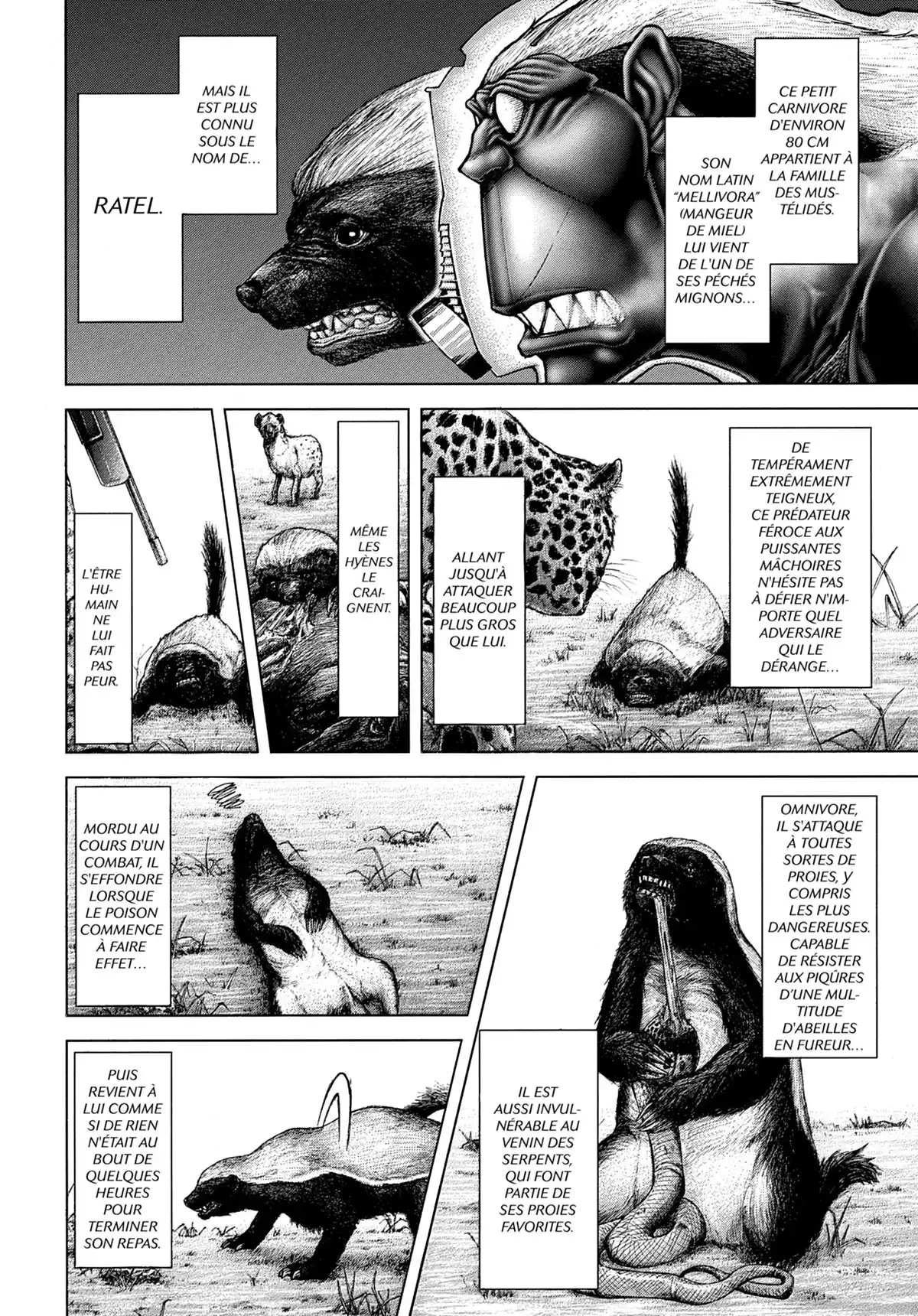 Terra Formars Volume 11 page 143