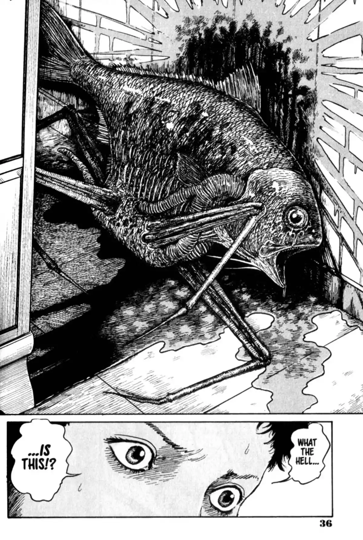 Junji Ito Collection – ENGLISH Edition Deluxe Gyo page 34