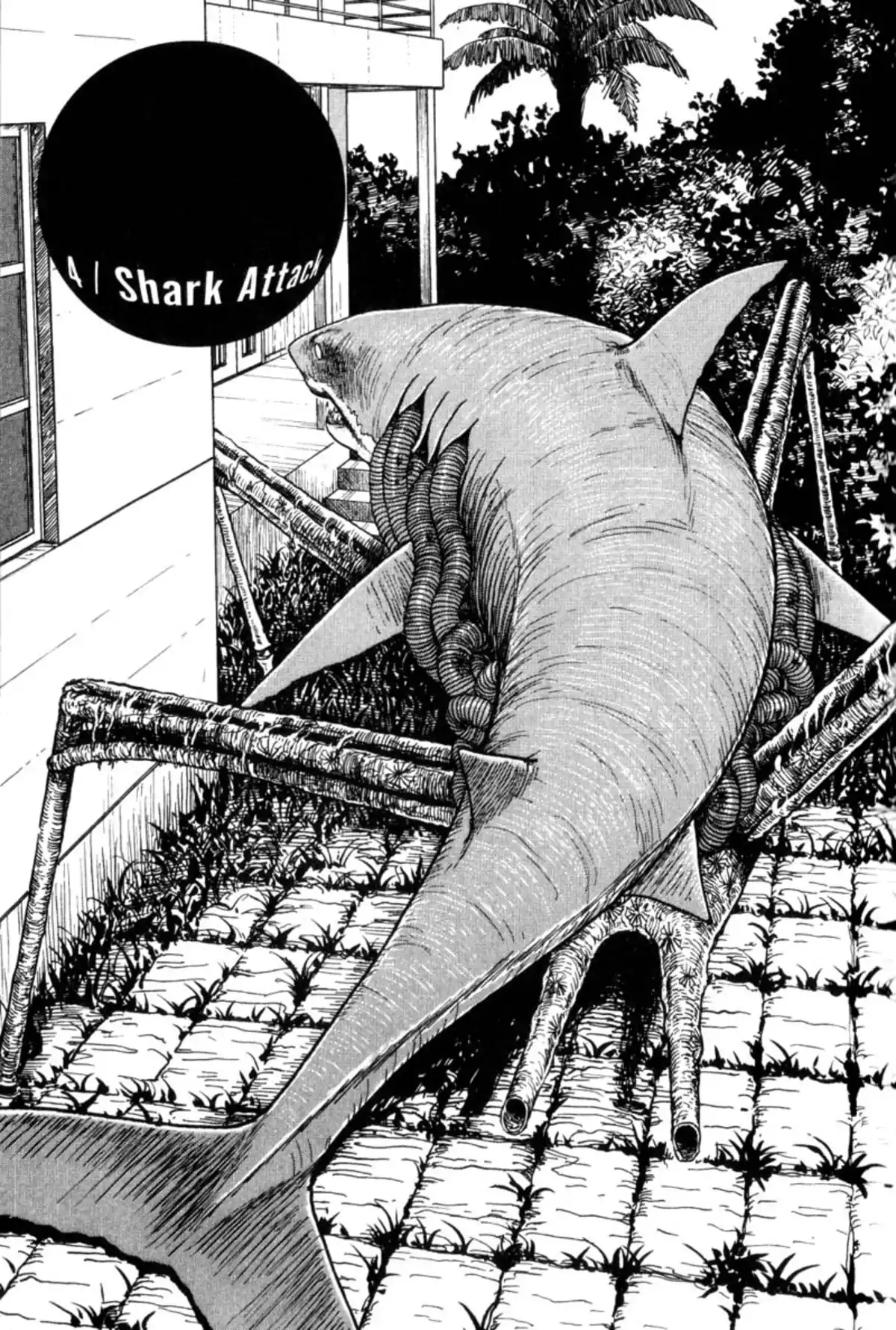 Junji Ito Collection – ENGLISH Edition Deluxe Gyo page 73