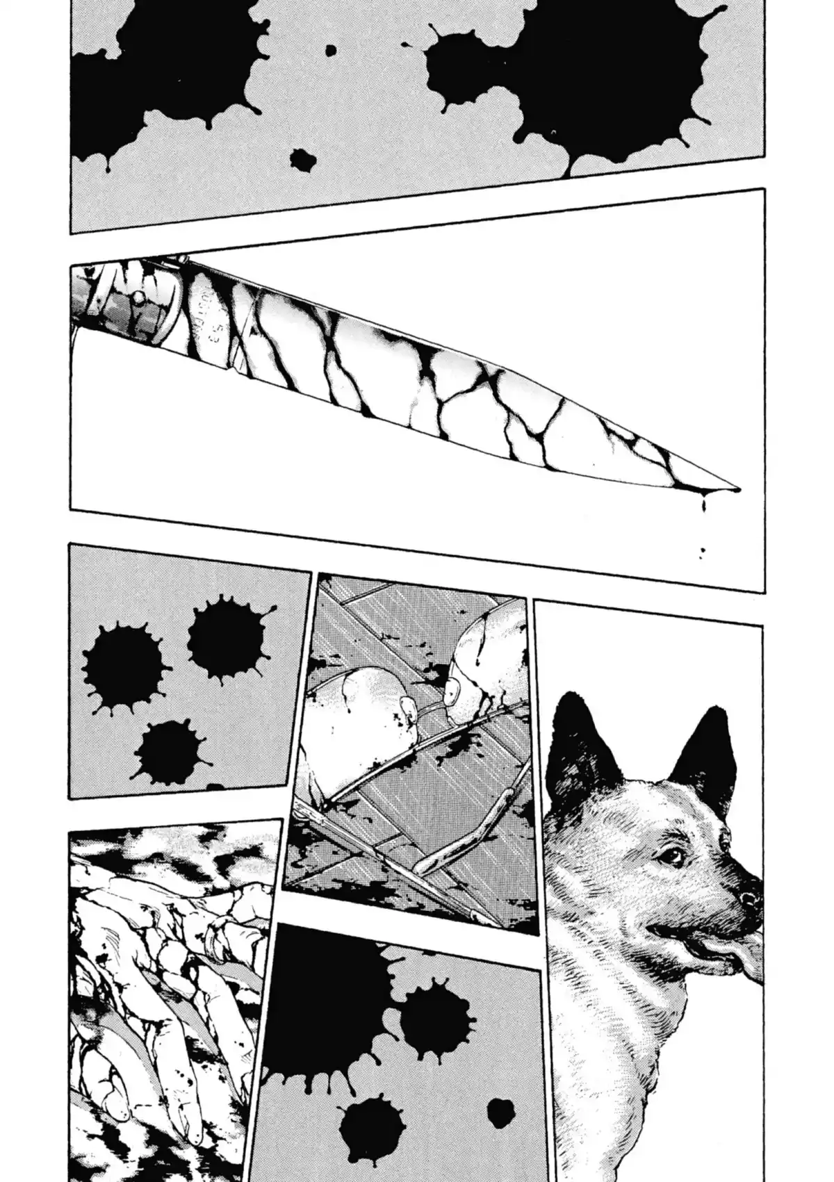 Coq de Combat Volume 1 page 49