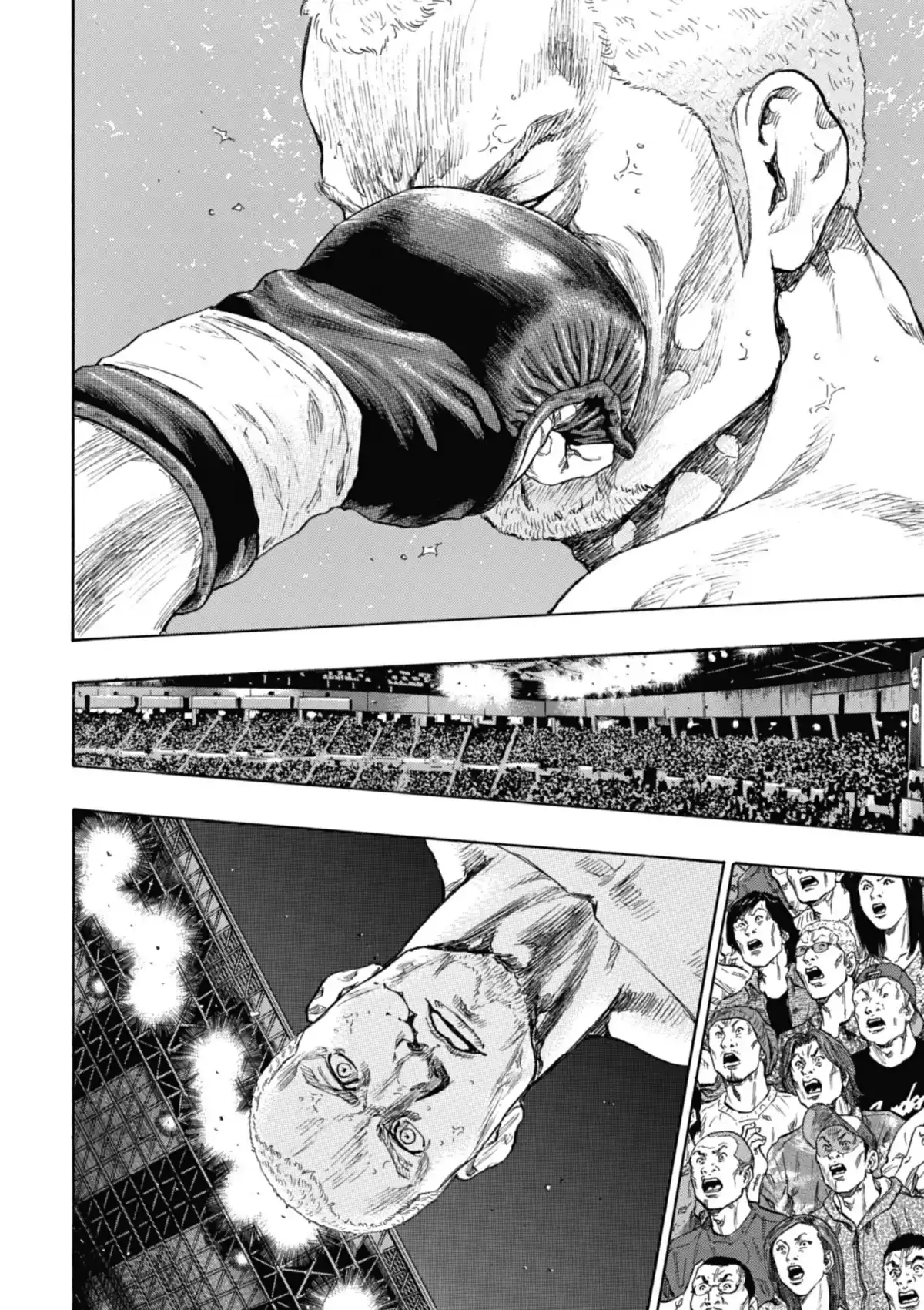 Coq de Combat Volume 25 page 107