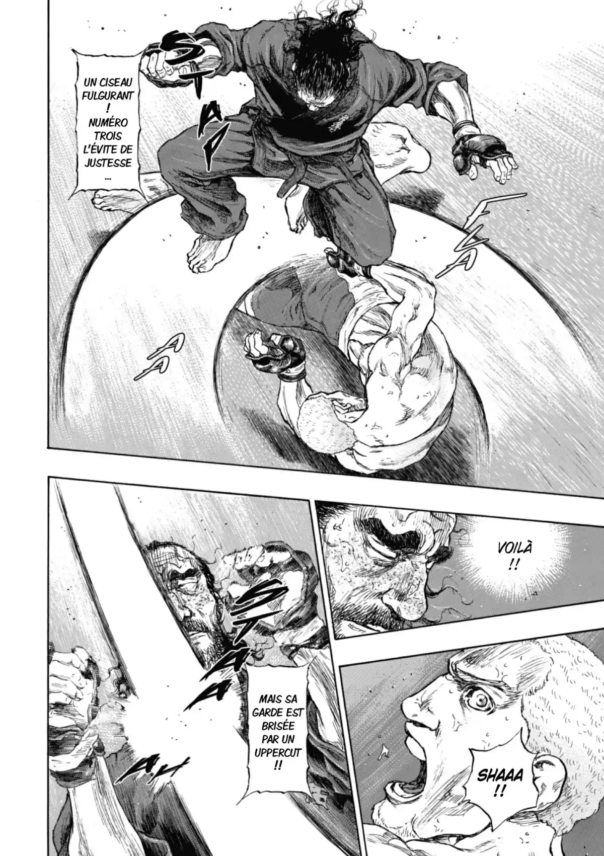 Coq de Combat Volume 25 page 116