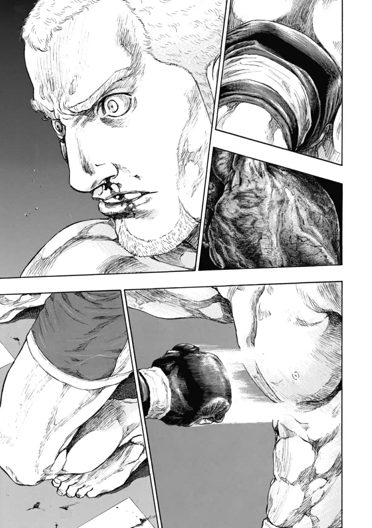 Coq de Combat Volume 25 page 122