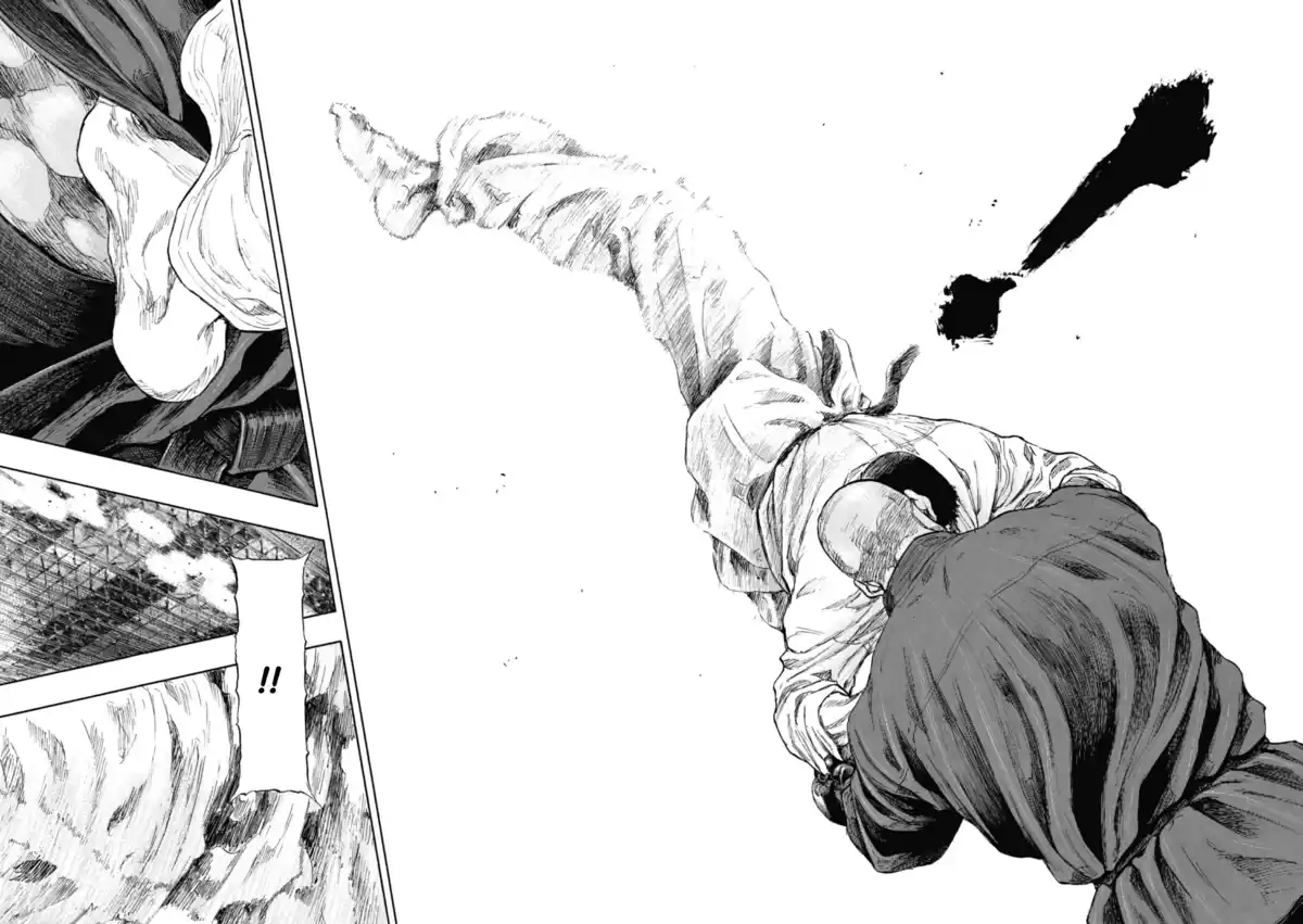 Coq de Combat Volume 25 page 177