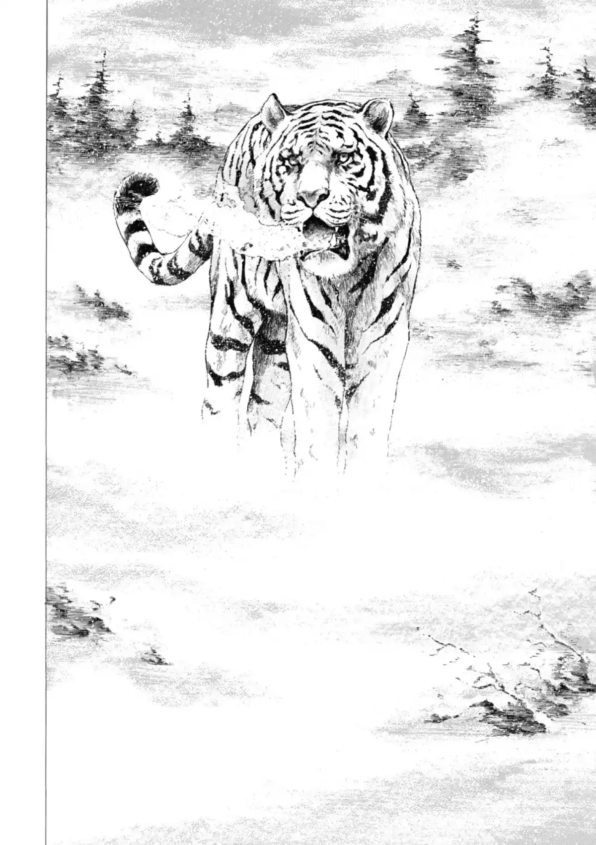 Coq de Combat Volume 25 page 97