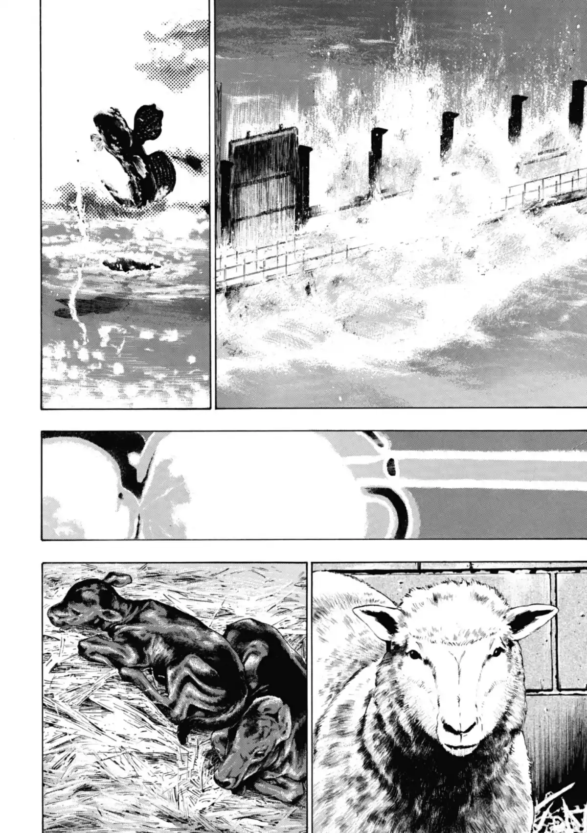 Coq de Combat Volume 17 page 48