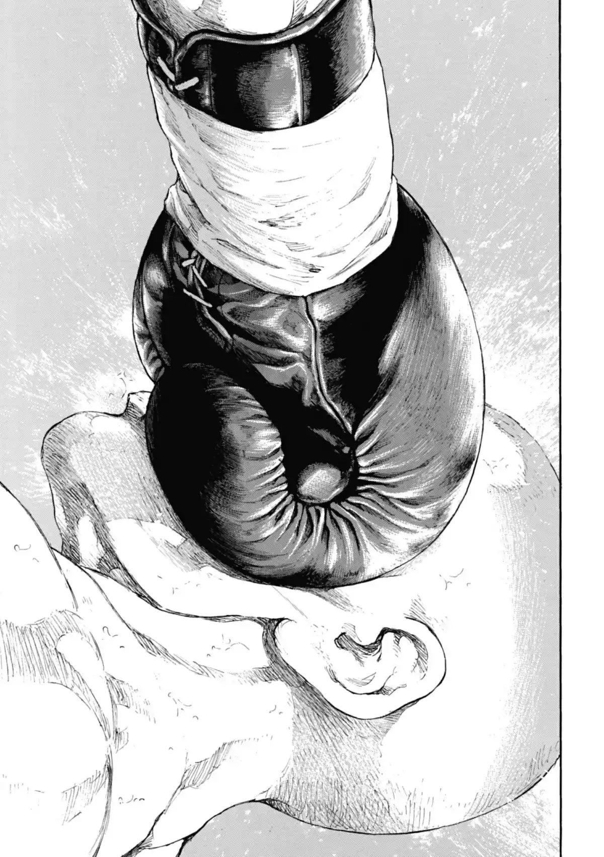 Coq de Combat Volume 17 page 67