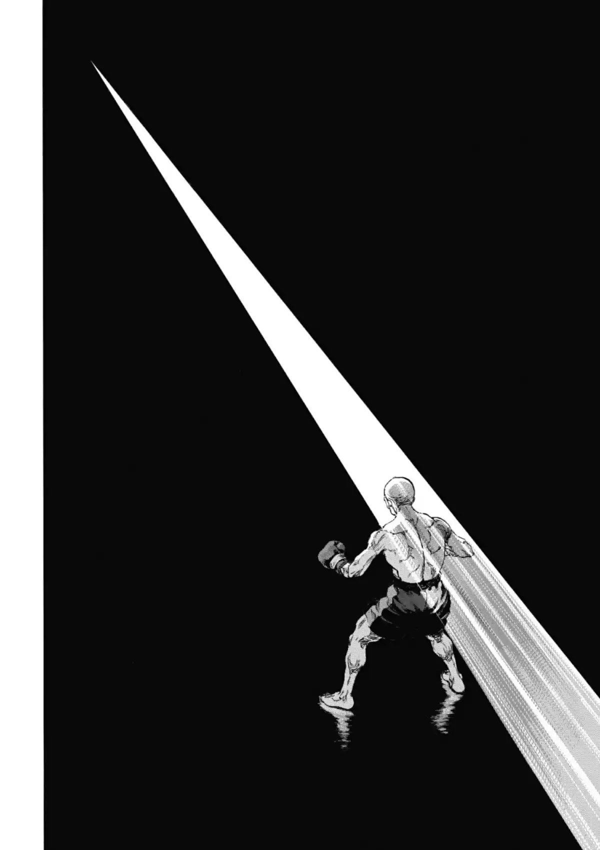 Coq de Combat Volume 11 page 112