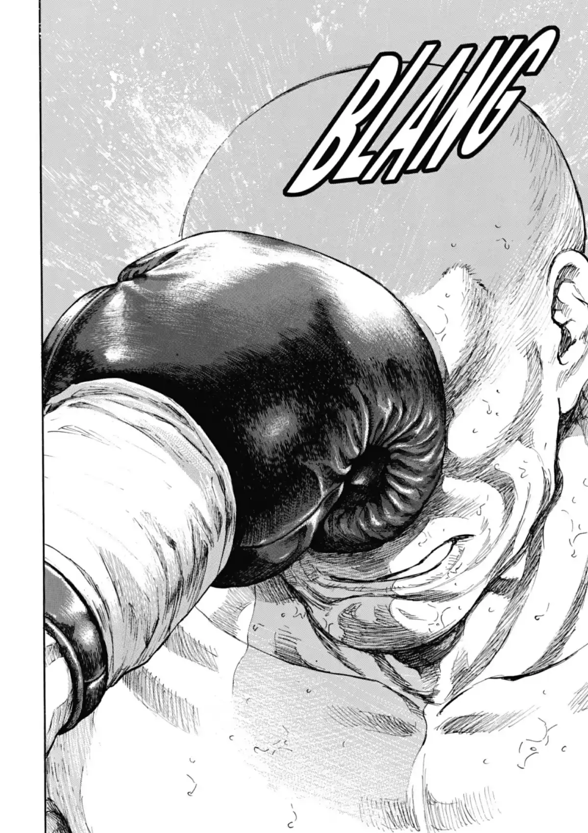 Coq de Combat Volume 11 page 114