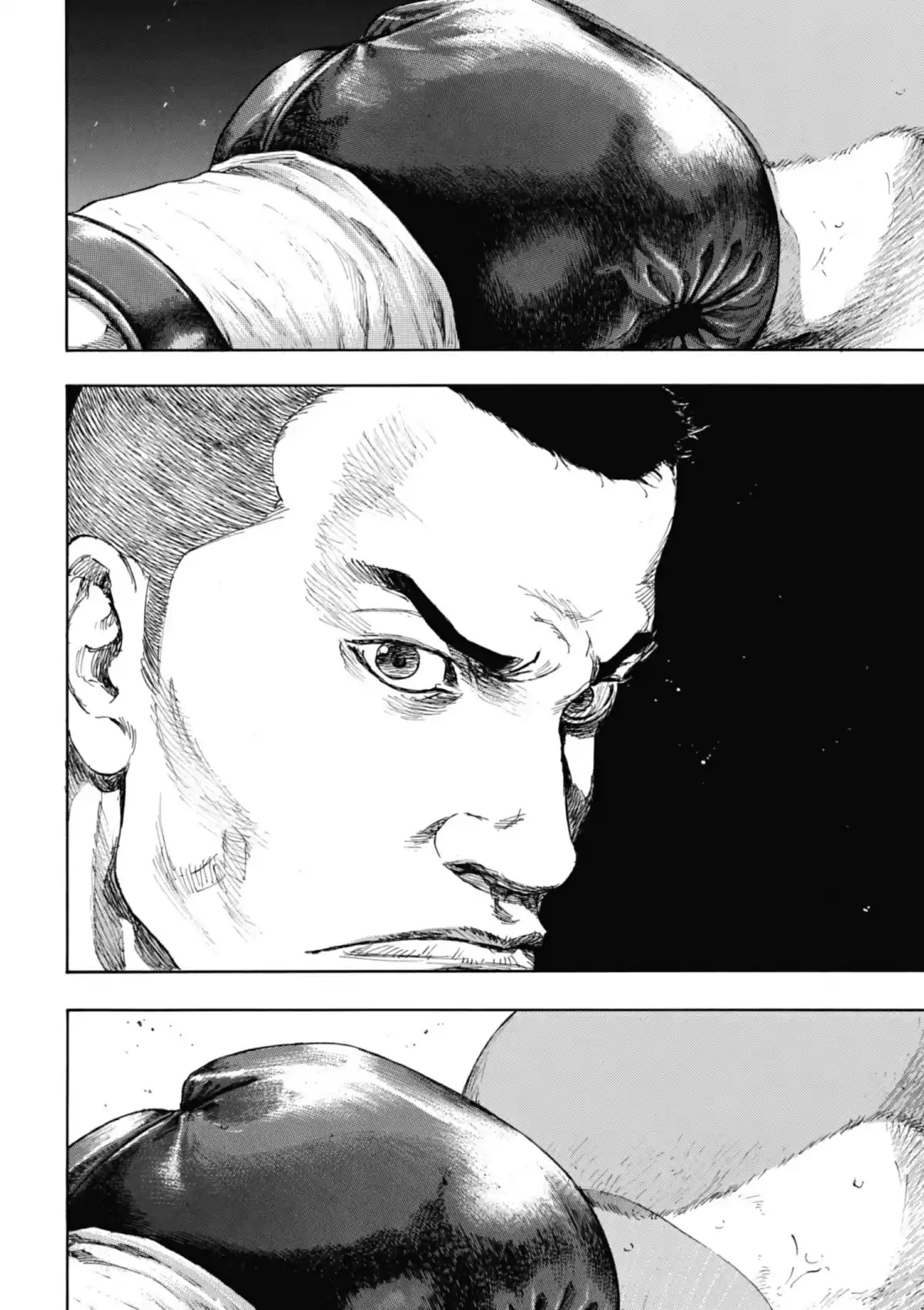 Coq de Combat Volume 11 page 116
