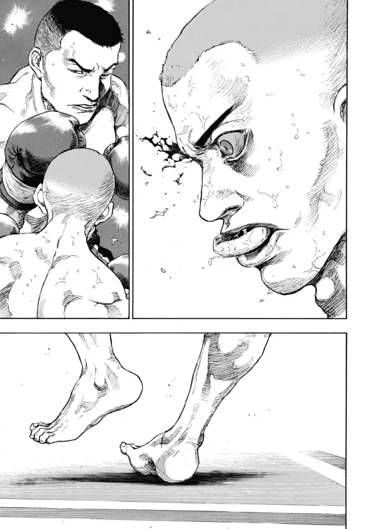 Coq de Combat Volume 11 page 117