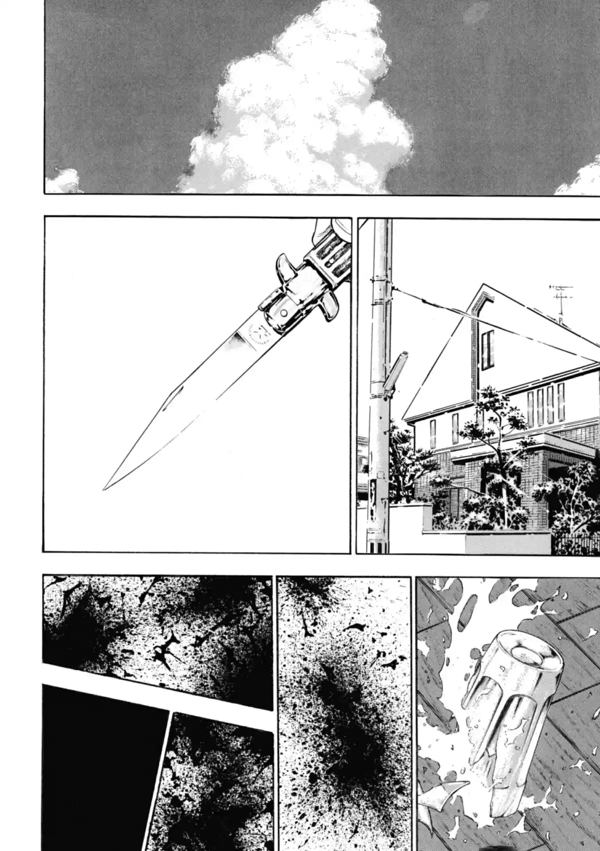 Coq de Combat Volume 11 page 35