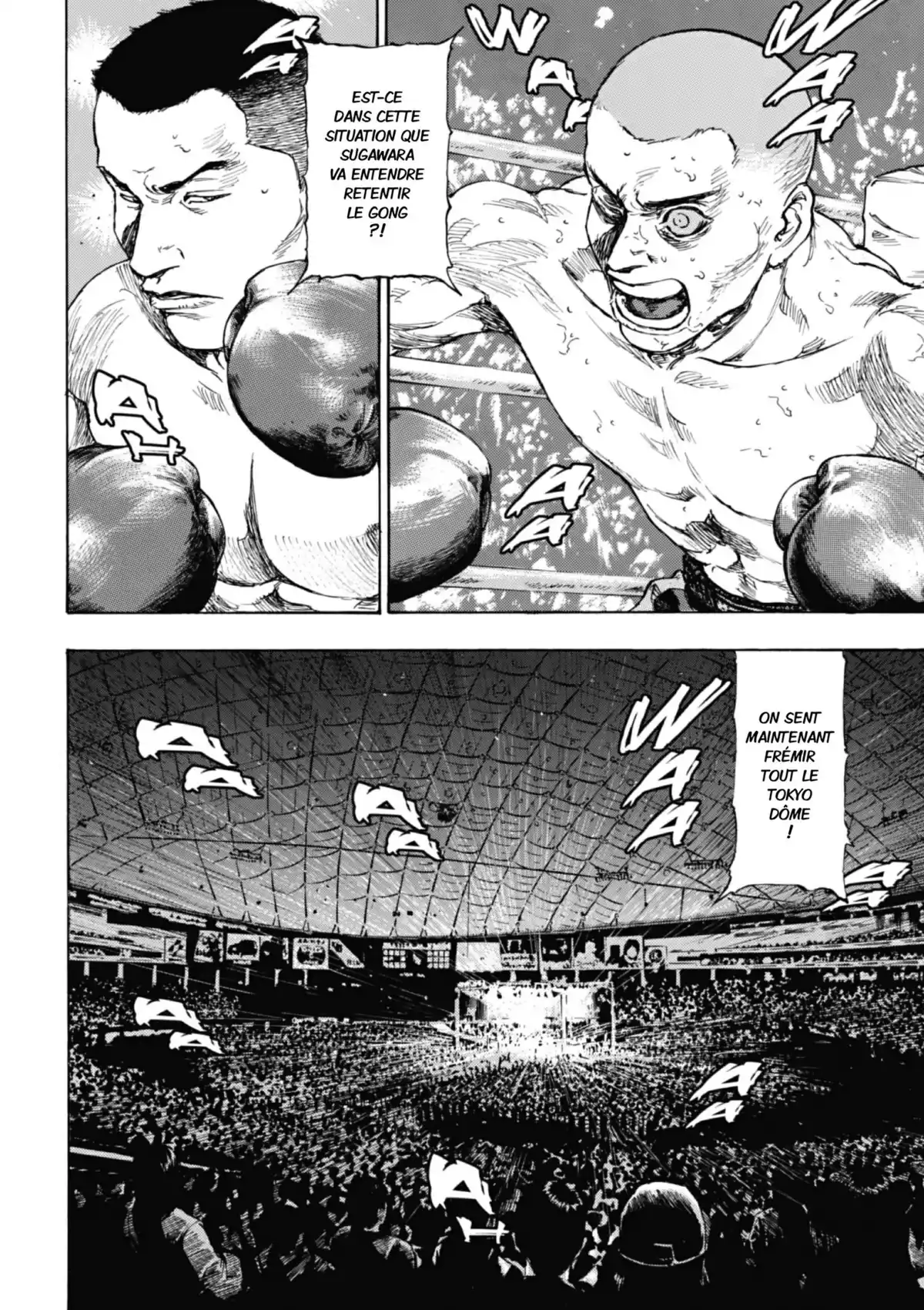 Coq de Combat Volume 11 page 41