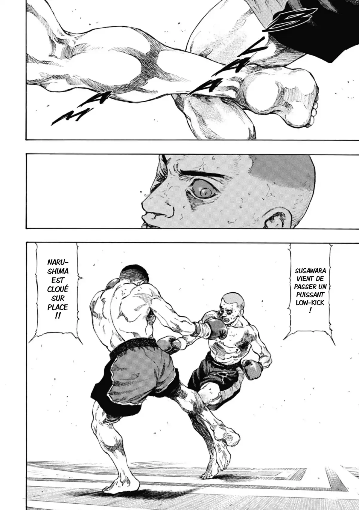 Coq de Combat Volume 11 page 47