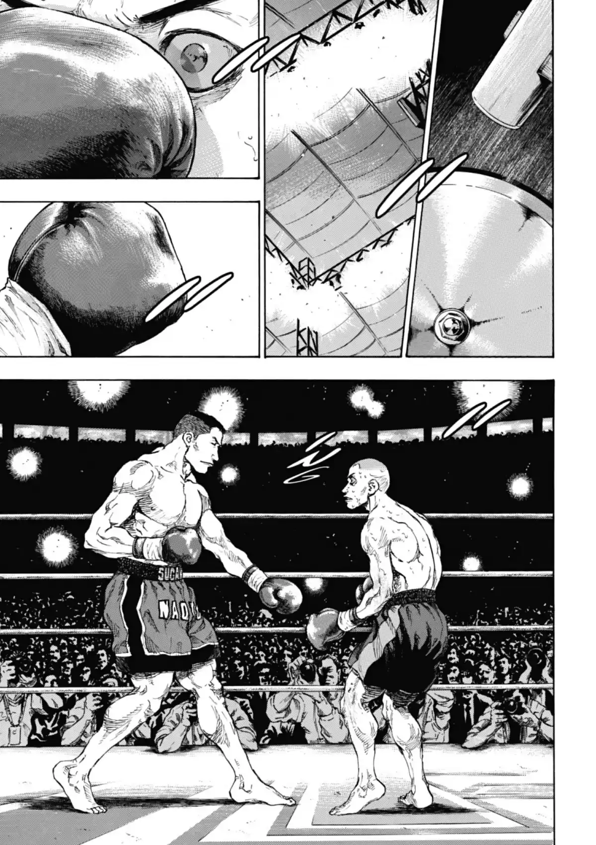 Coq de Combat Volume 11 page 52