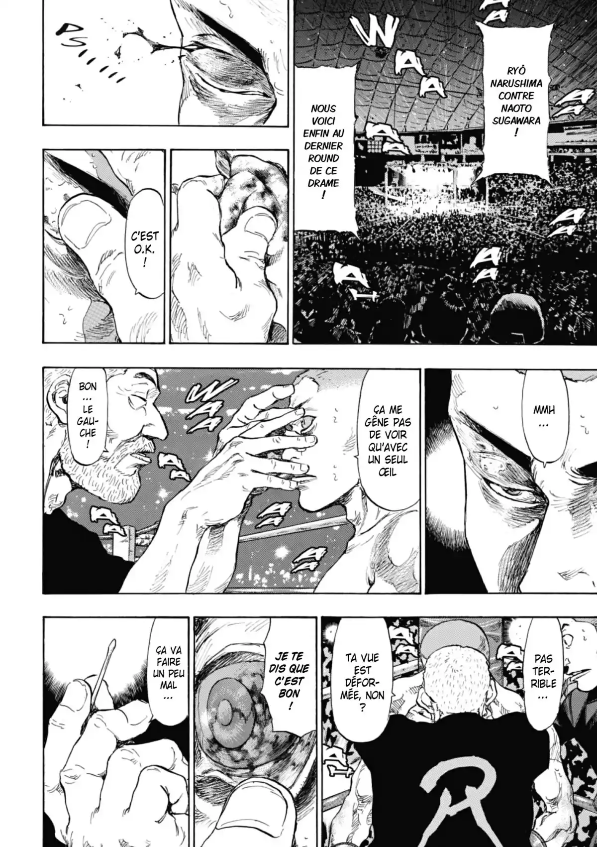 Coq de Combat Volume 11 page 63