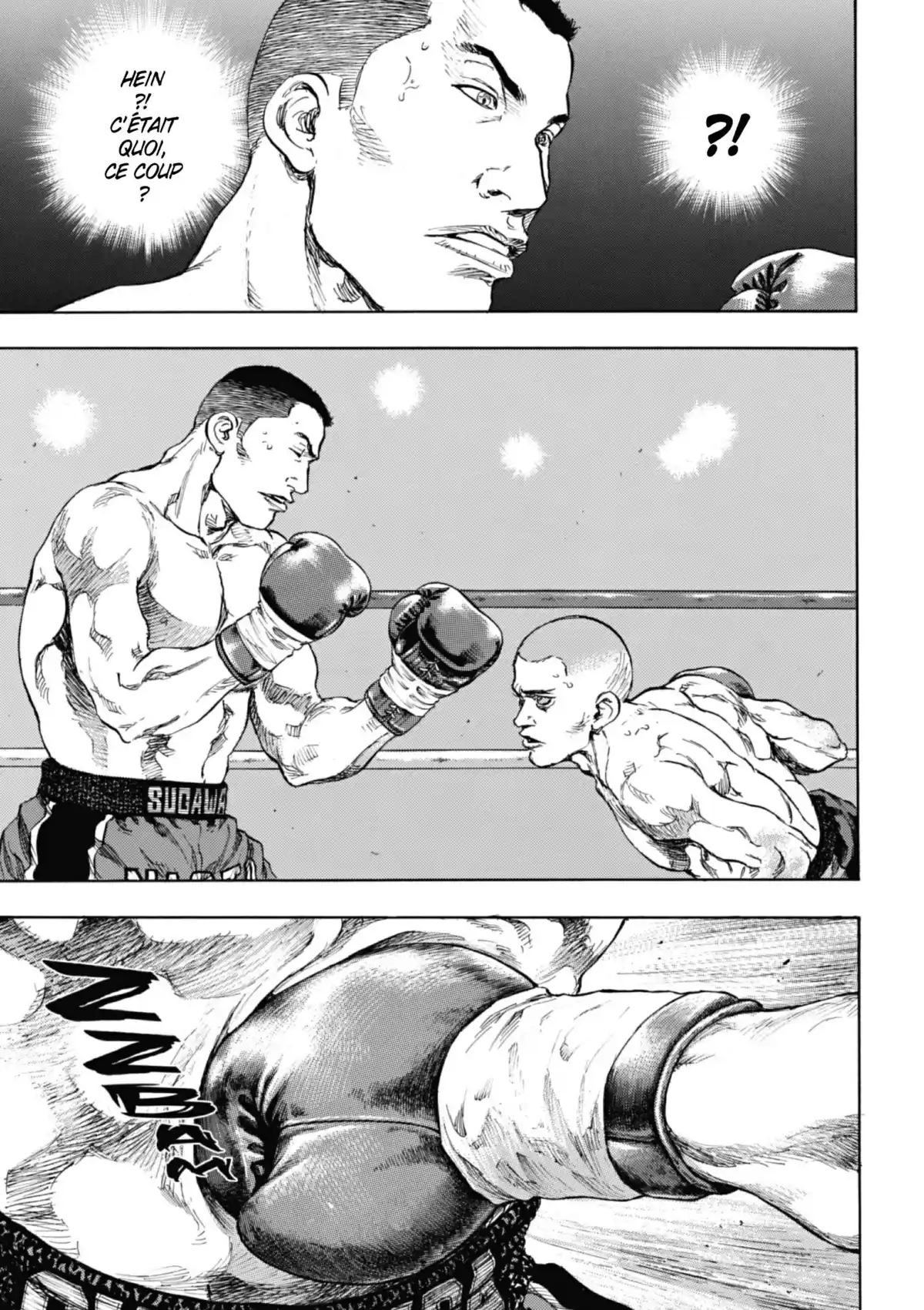Coq de Combat Volume 11 page 74