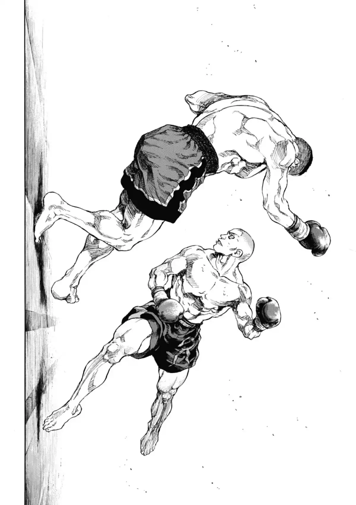 Coq de Combat Volume 11 page 77